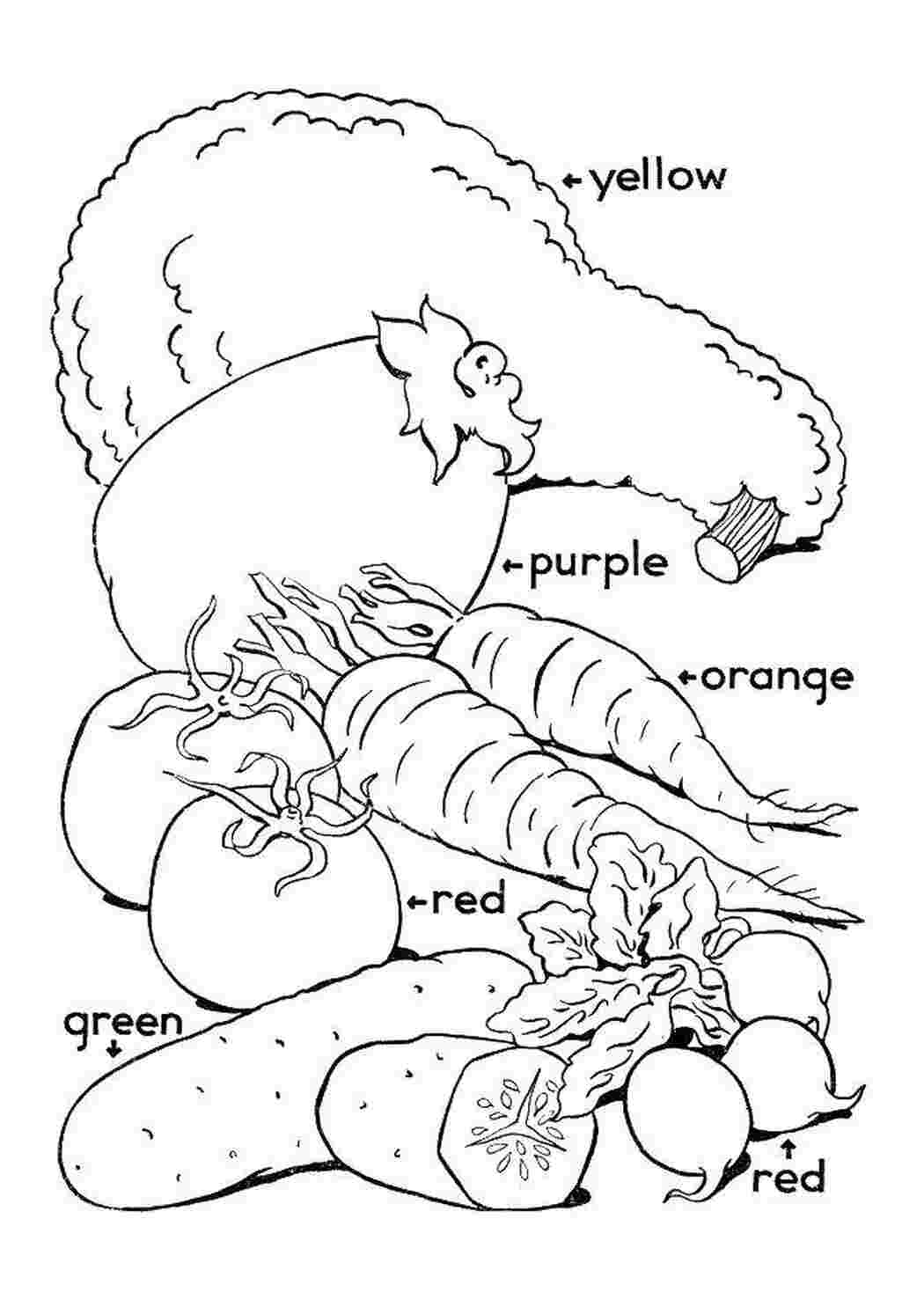 Раскраски Цвета разных овощей Овощи Английский, овощи