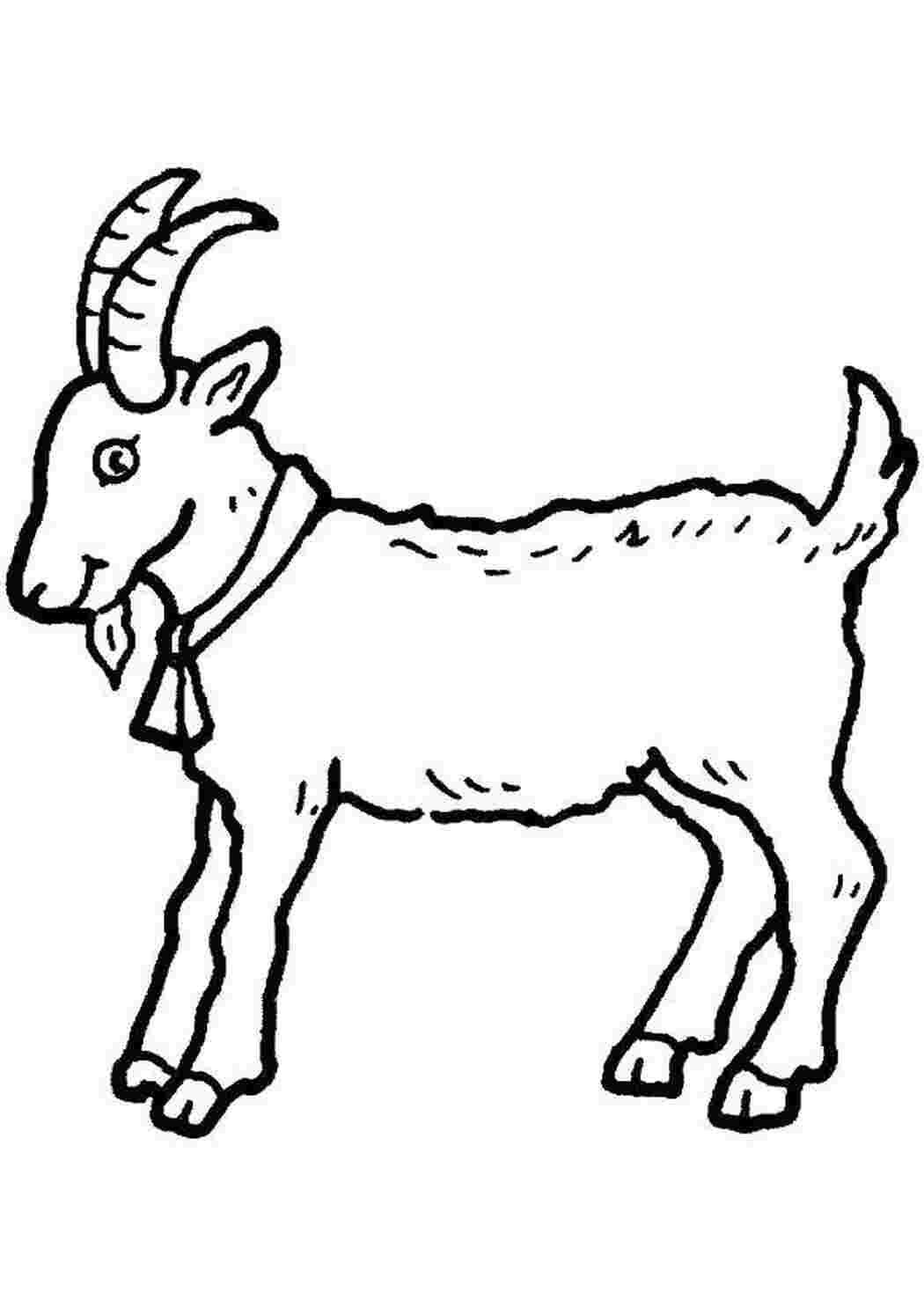 Раскраски Козочка животные животные, звери, козочка, коза