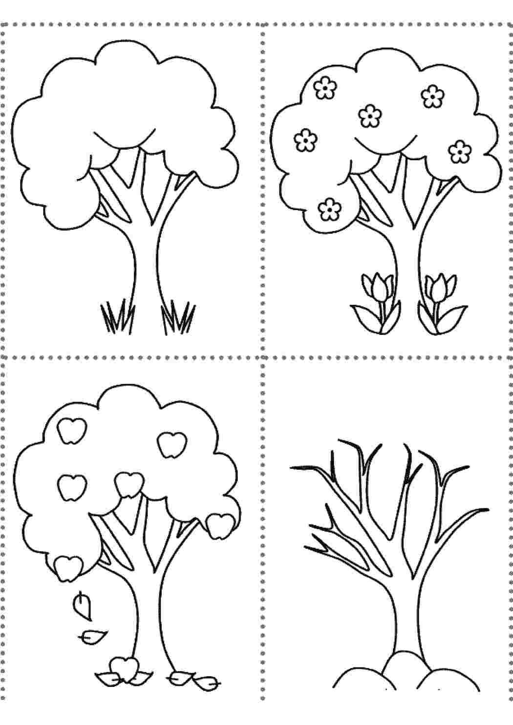Раскраски Раскраска дерево в разные времена года растения дерево