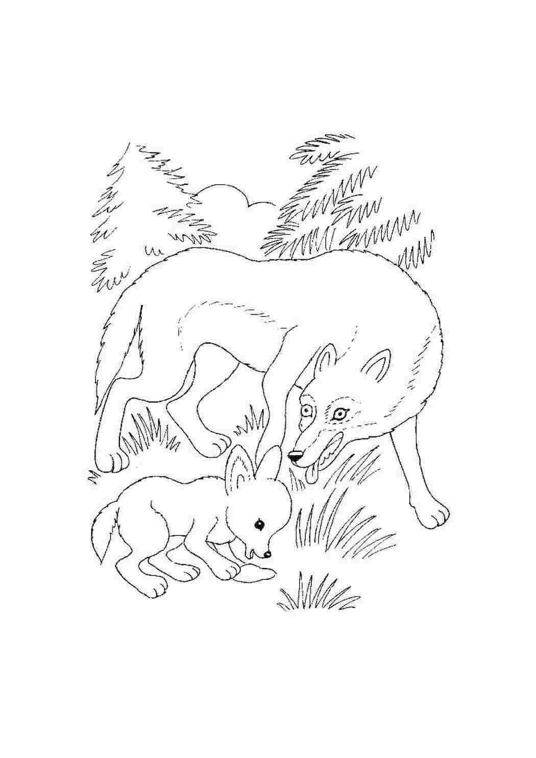 Раскраски Волчица с волченком дикие животные волк
