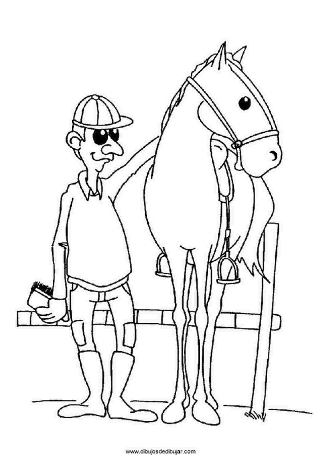 Раскраски очки, всадник, красивая спортивная лошадь, домашние животные Раскраски Лошади 