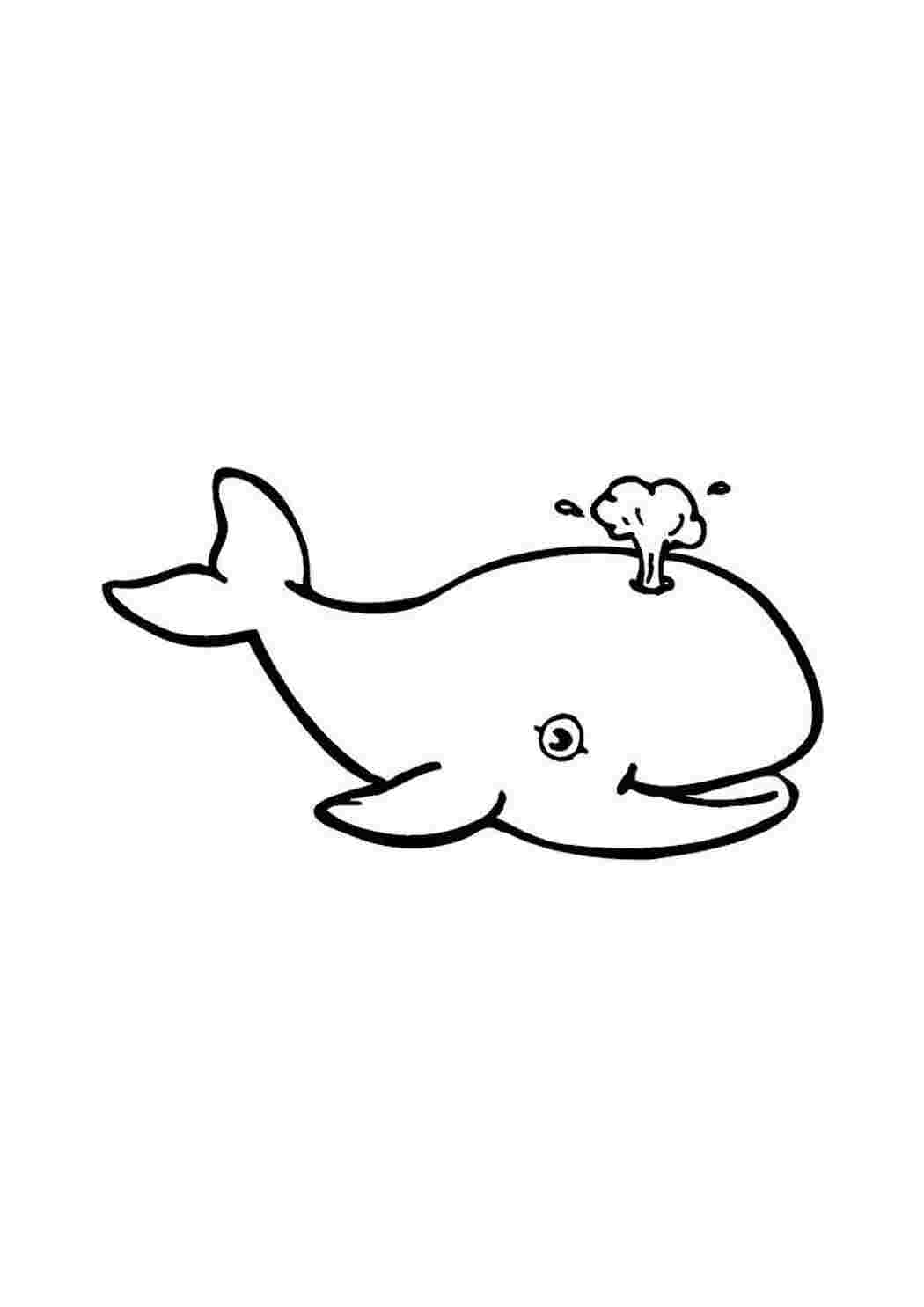 Раскраски и рисунки Китов
