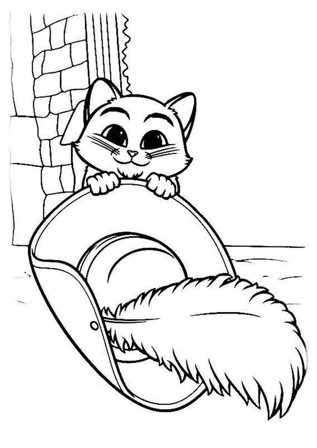 домашние животные кошка, кот