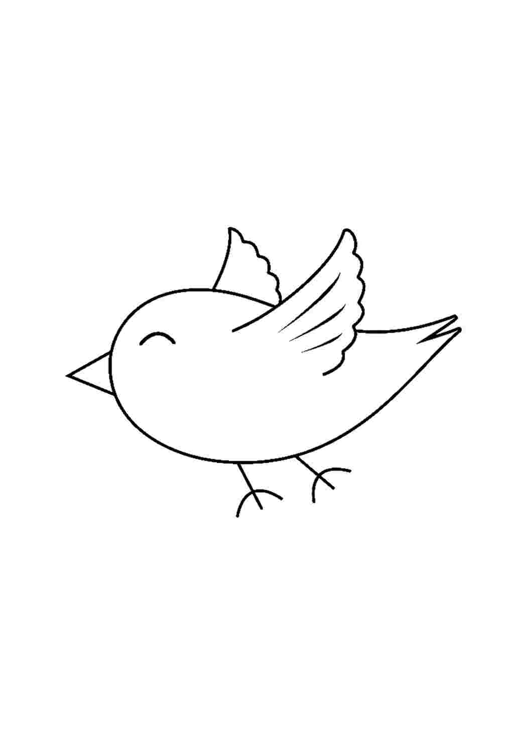 Раскраски птицы для детей (31 разукрашка)