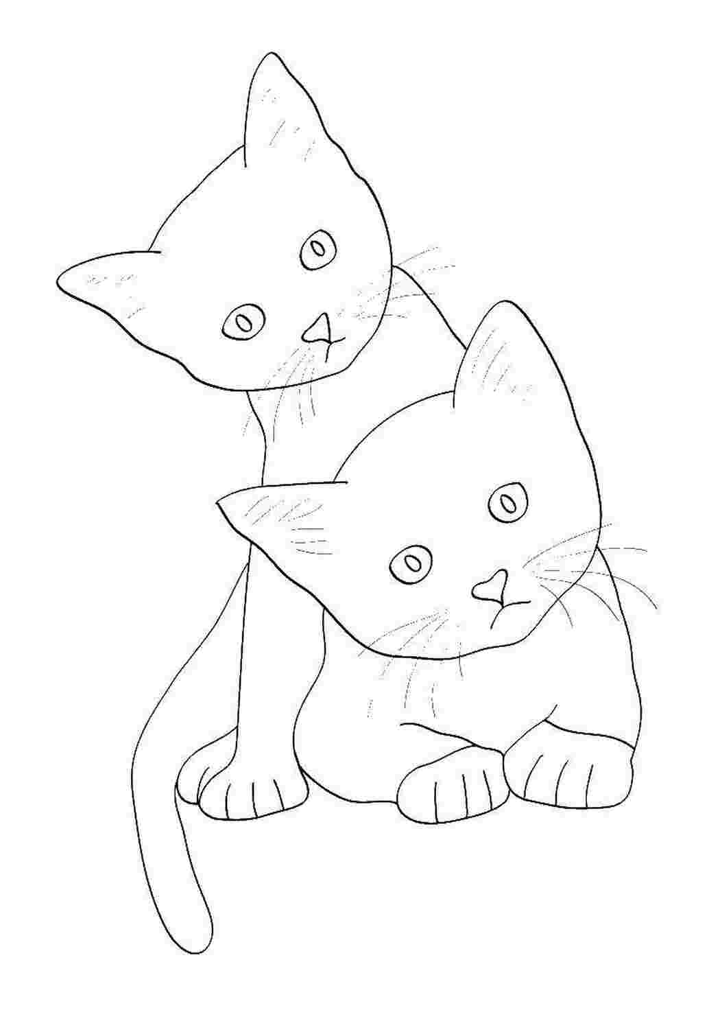 Раскраски Любопытные котятки домашние животные Животные, котёнок