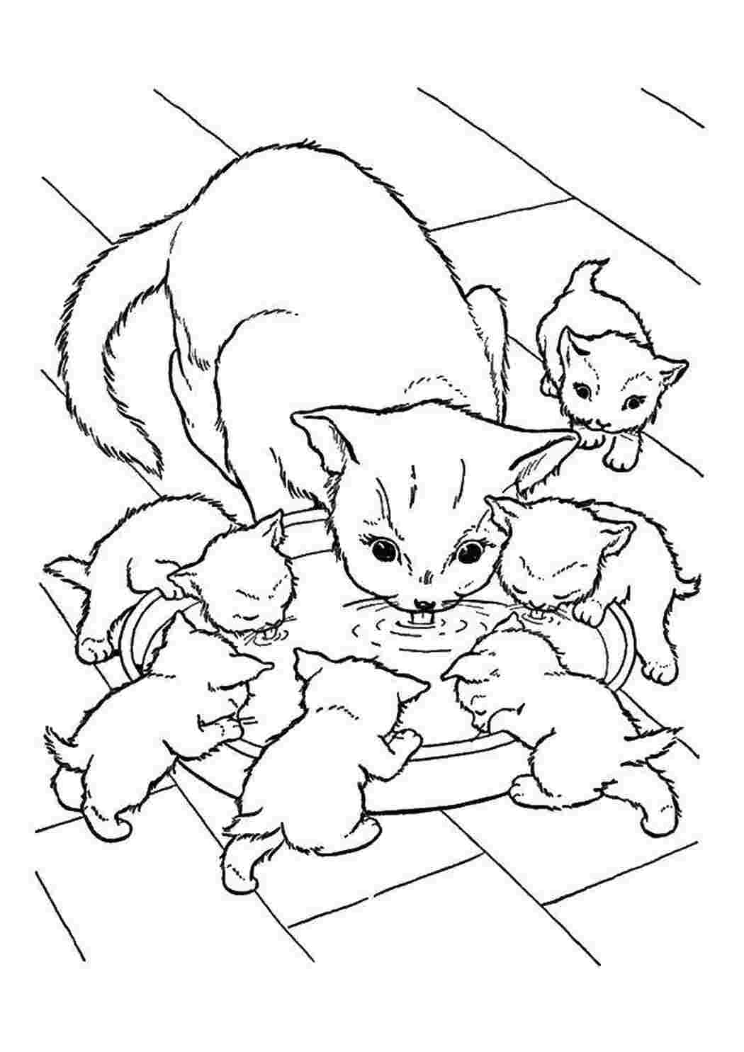 Раскраски Кошечка с котятами котята и щенки кошка, котята