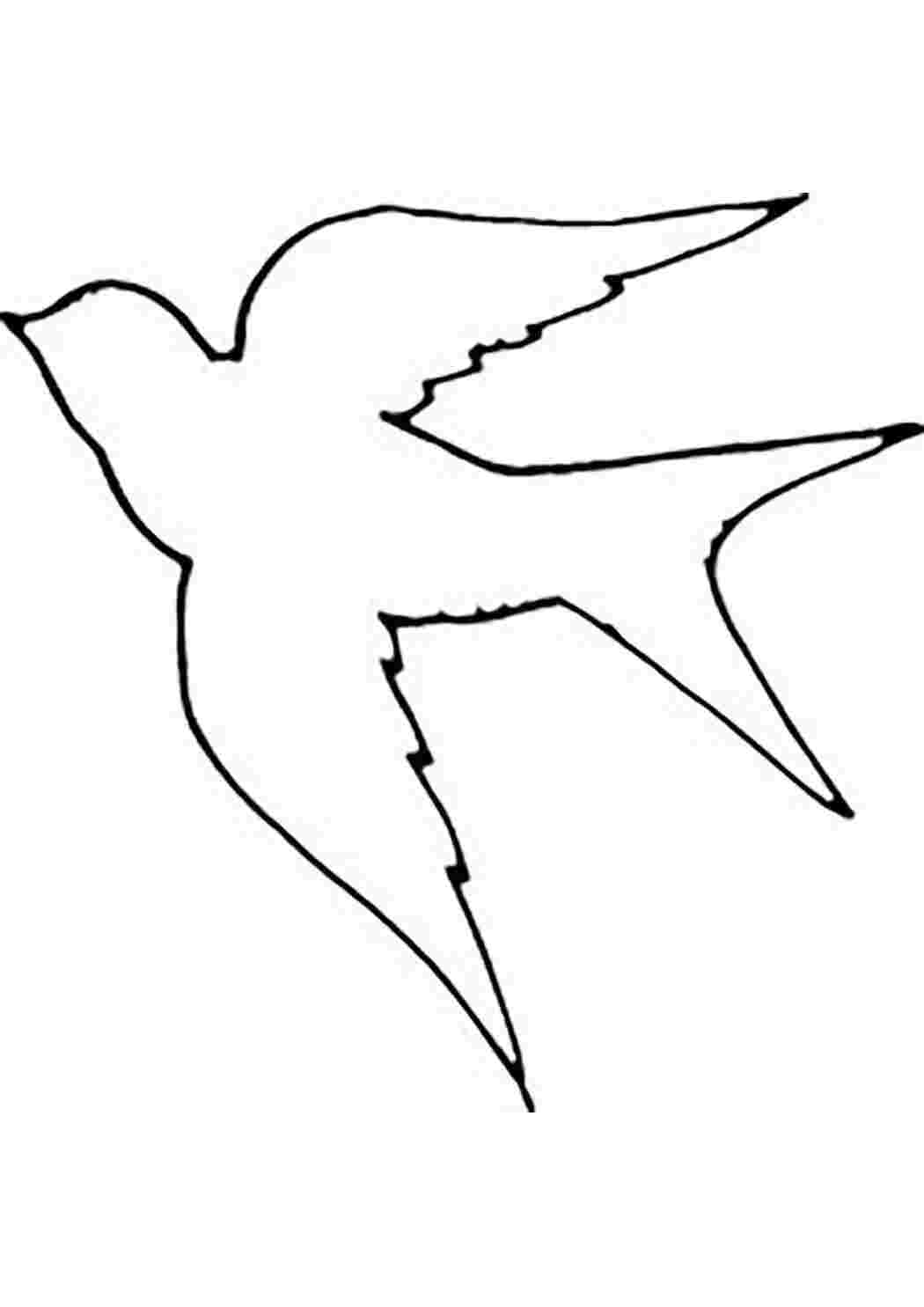 Трафареты, Контуры, Контуры птиц, Раскраска, Контуры птиц, Ласточка, Контур ласточки для вырезания и раскрашивания, Шаблон ласточки для аппликаций.jpg