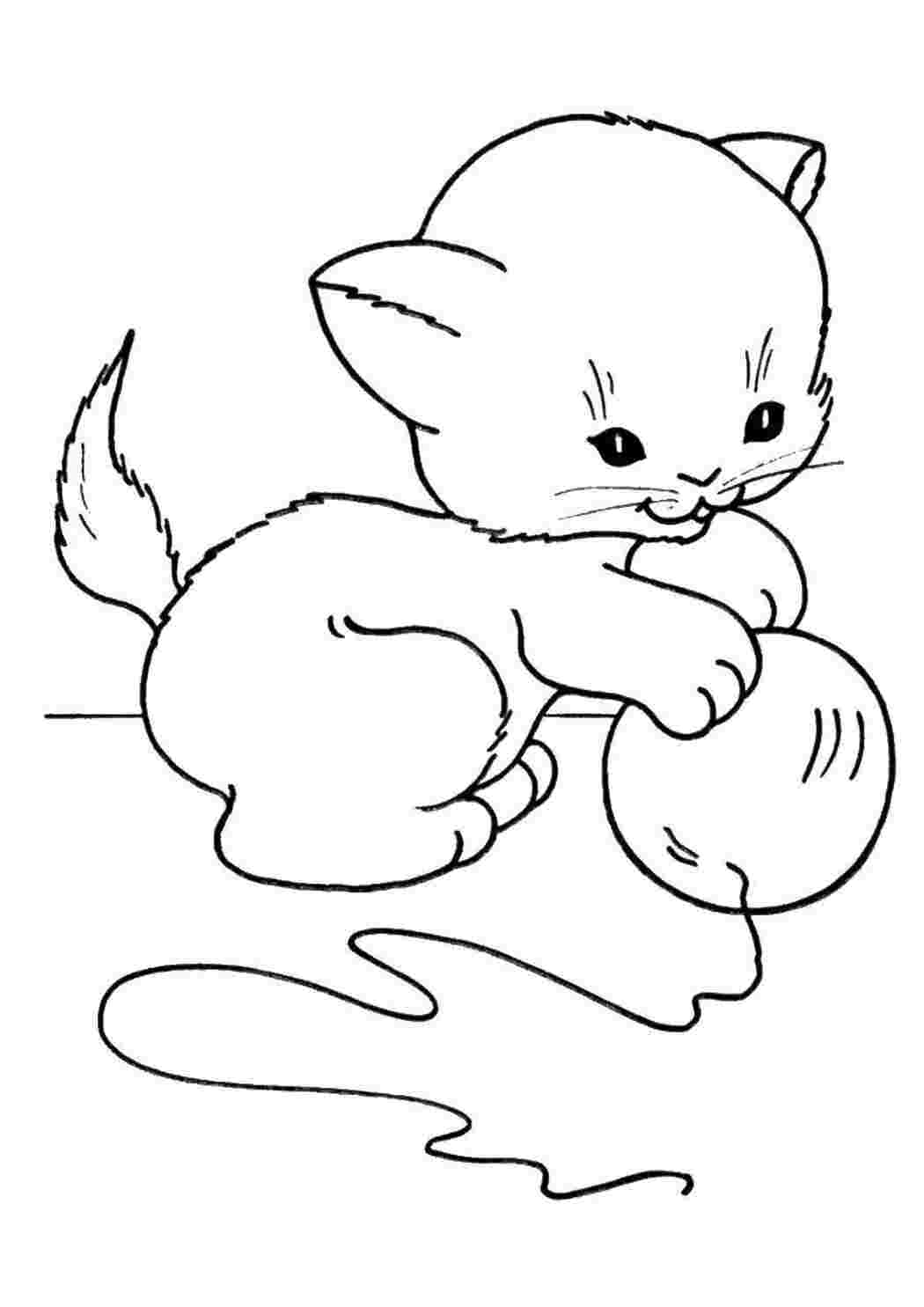 котята и щенки клубок, котенок