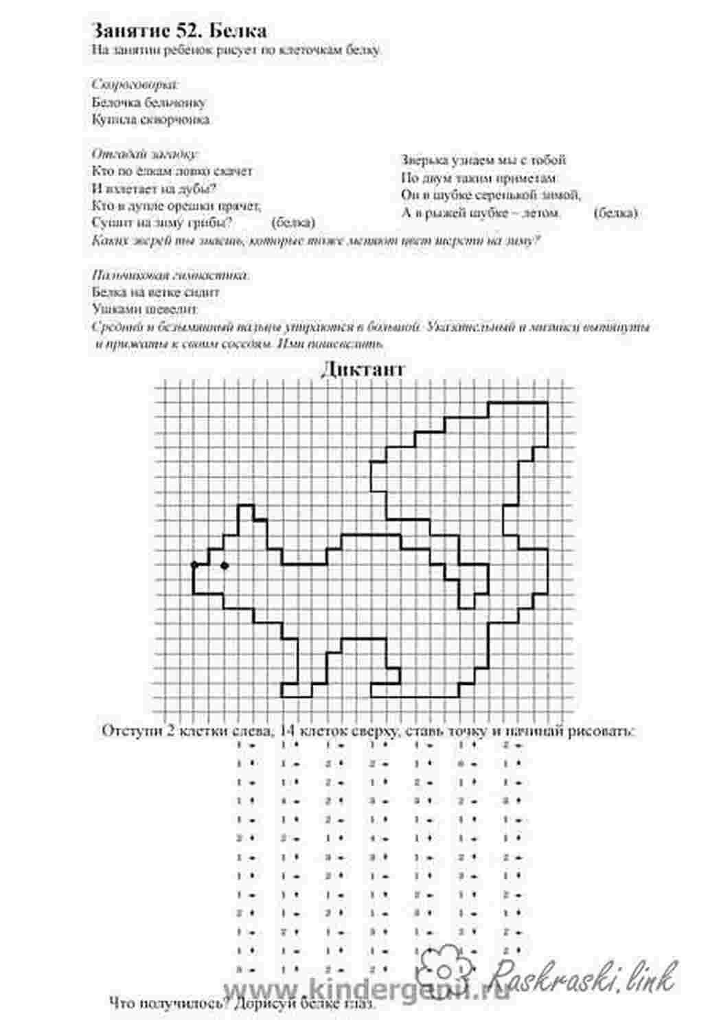 Раскраски белка Раскраски Графический диктант 