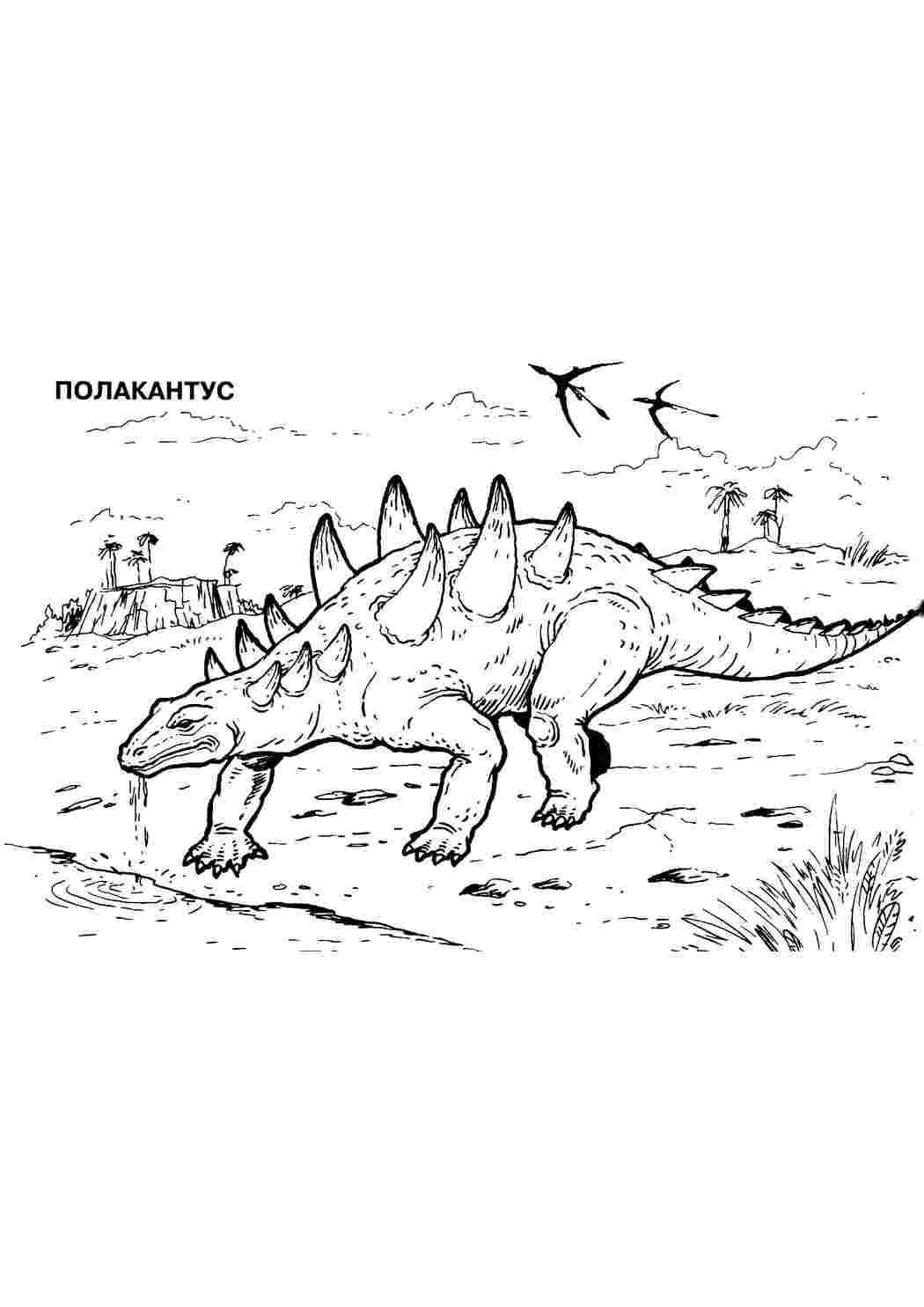 Полакантус Раскраски для мальчиков