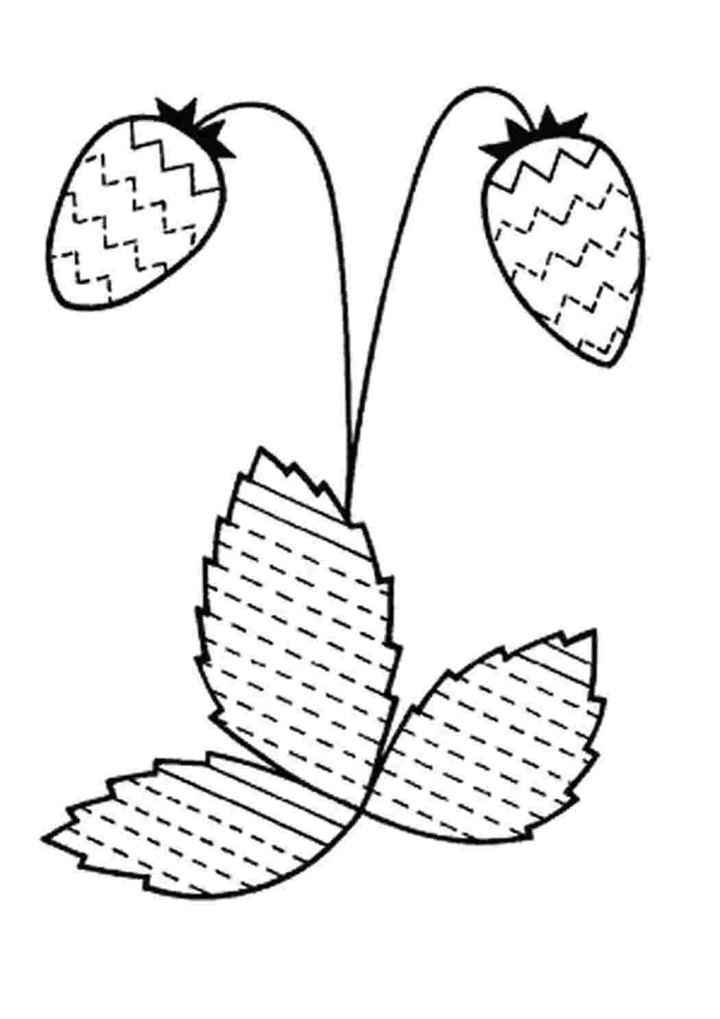 Раскраски штриховка земляника ягоды земляника