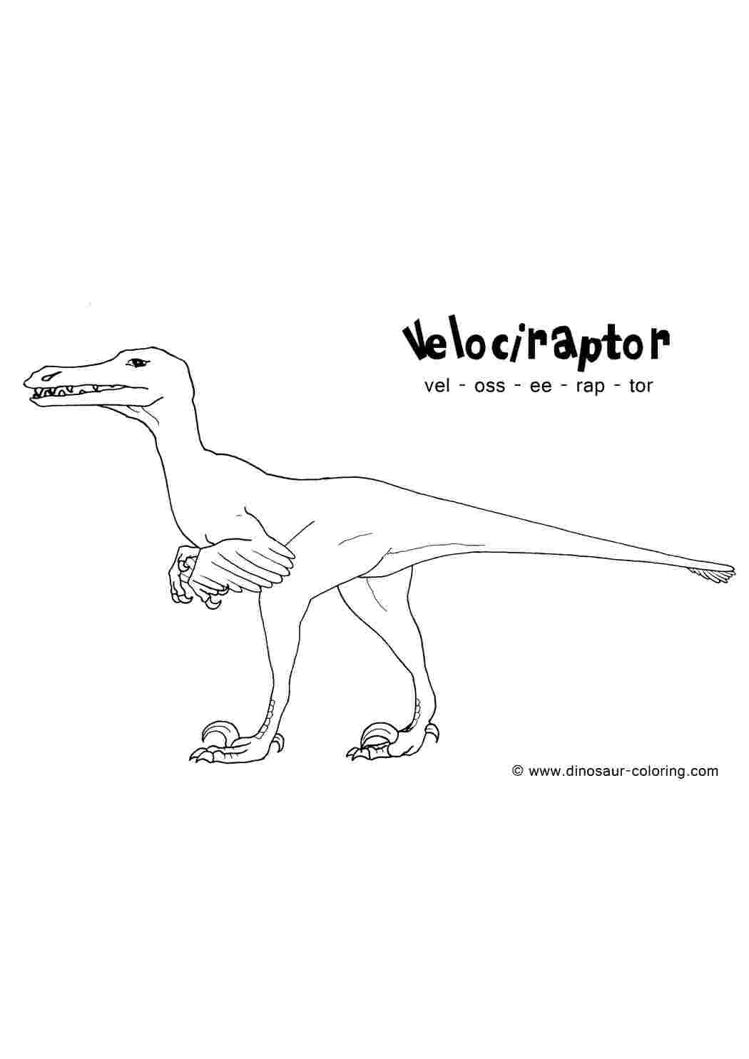 Раскраски, Велоцираптор, динозавр Динозавры, картинки на рабочий стол  онлайн, Динозавры дерутся, Динозавры дерутся, динозавры огромные история  биология динозавров, Милые динозавры.