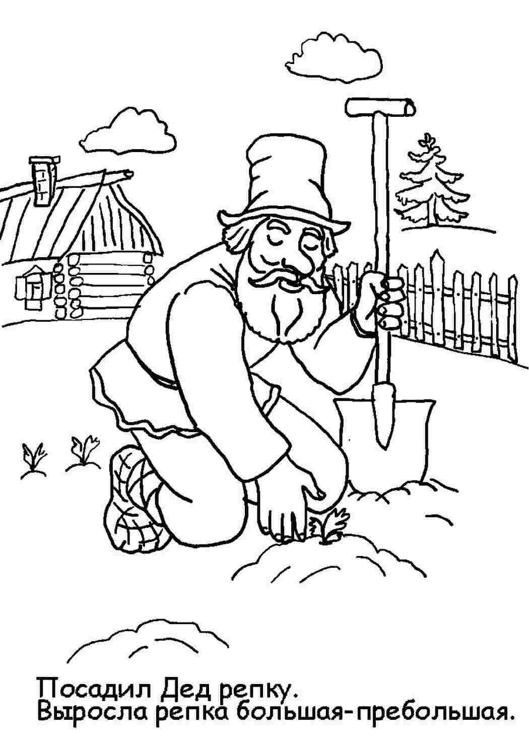 Раскраски раскраски по сказке репка 