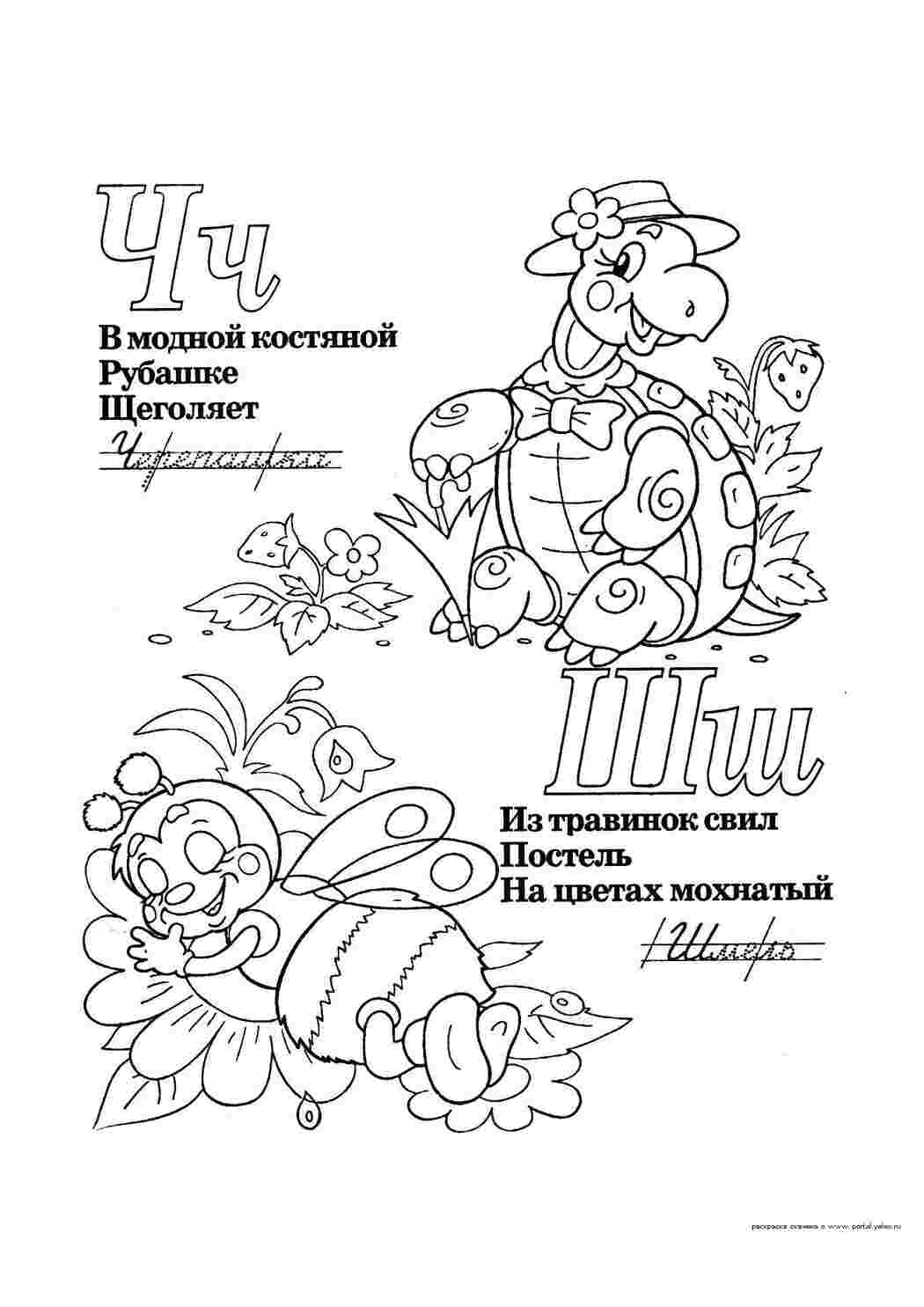 азбука Алфавит, буквы, слова