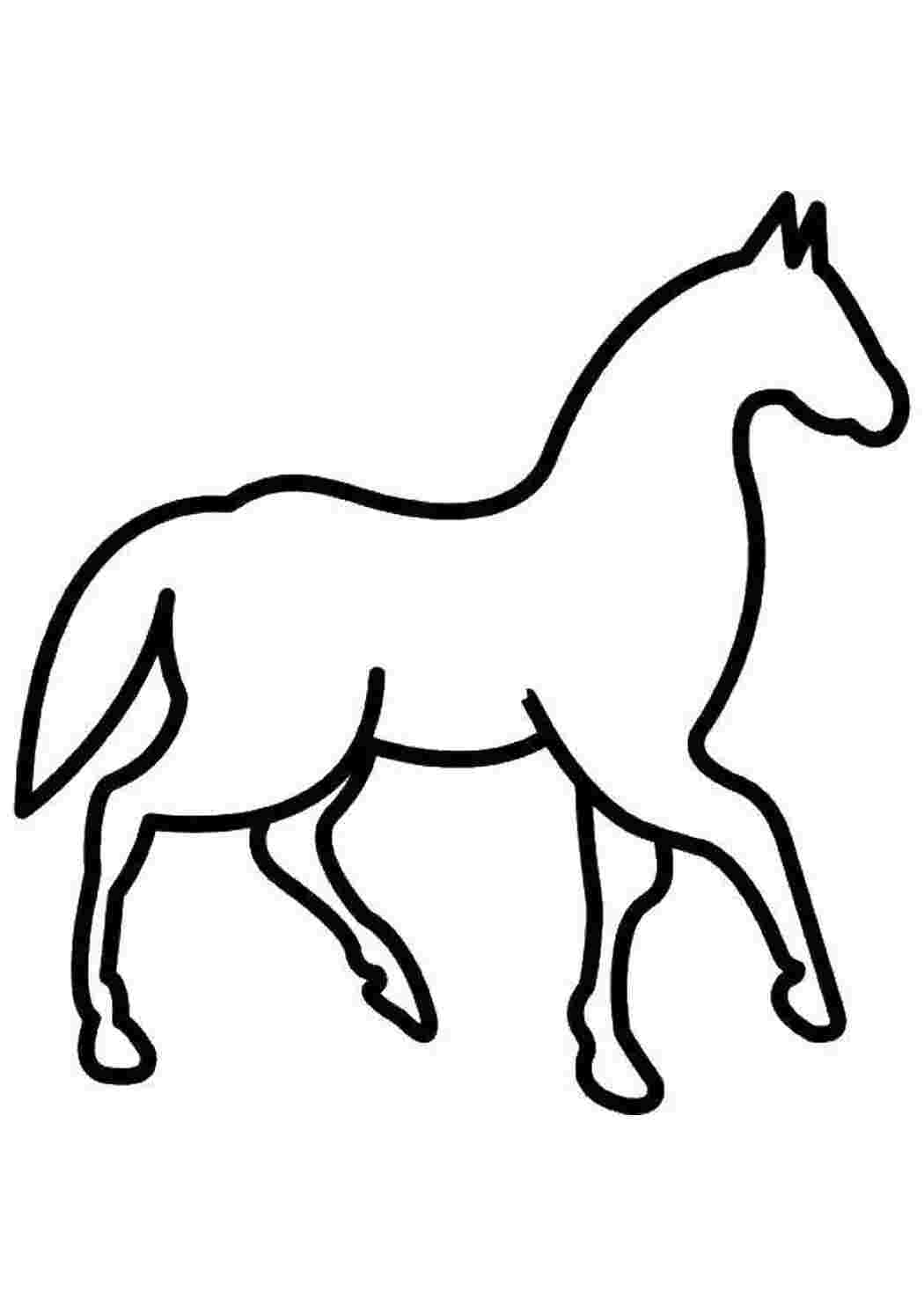 Раскраски Лошадка контур контуры лошади контур, лошадь, хвост
