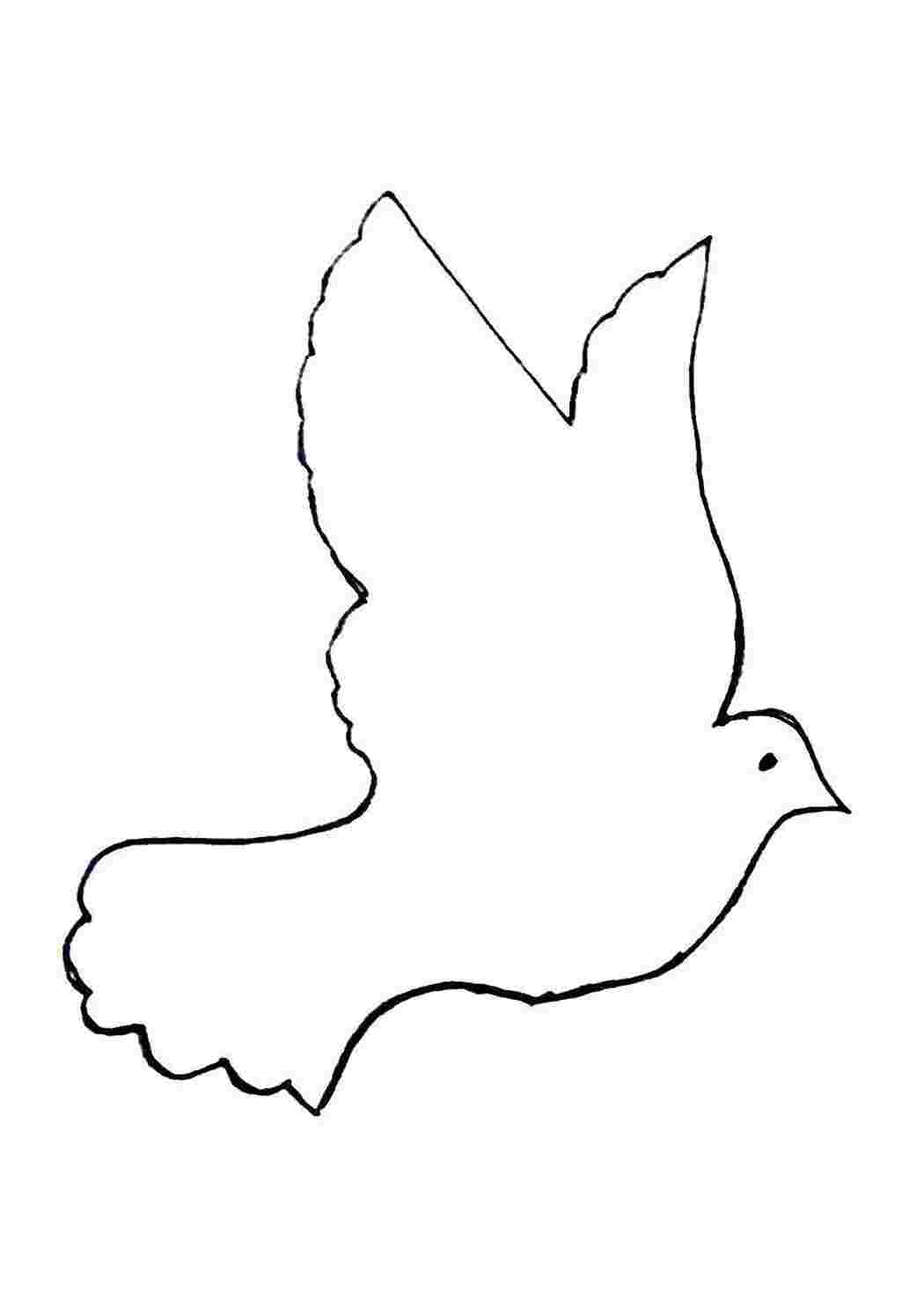 Раскраски Шаблон голубя Контуры птиц контуры птиц, шаблоны, птицы, голубь