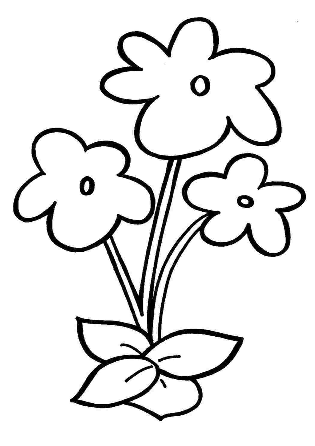 Раскраска три цветка ромашки для детей распечатать | Цветы