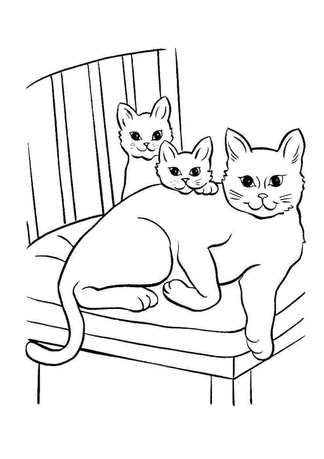 Раскраски Кошка с котятами Кошка кошка, котята