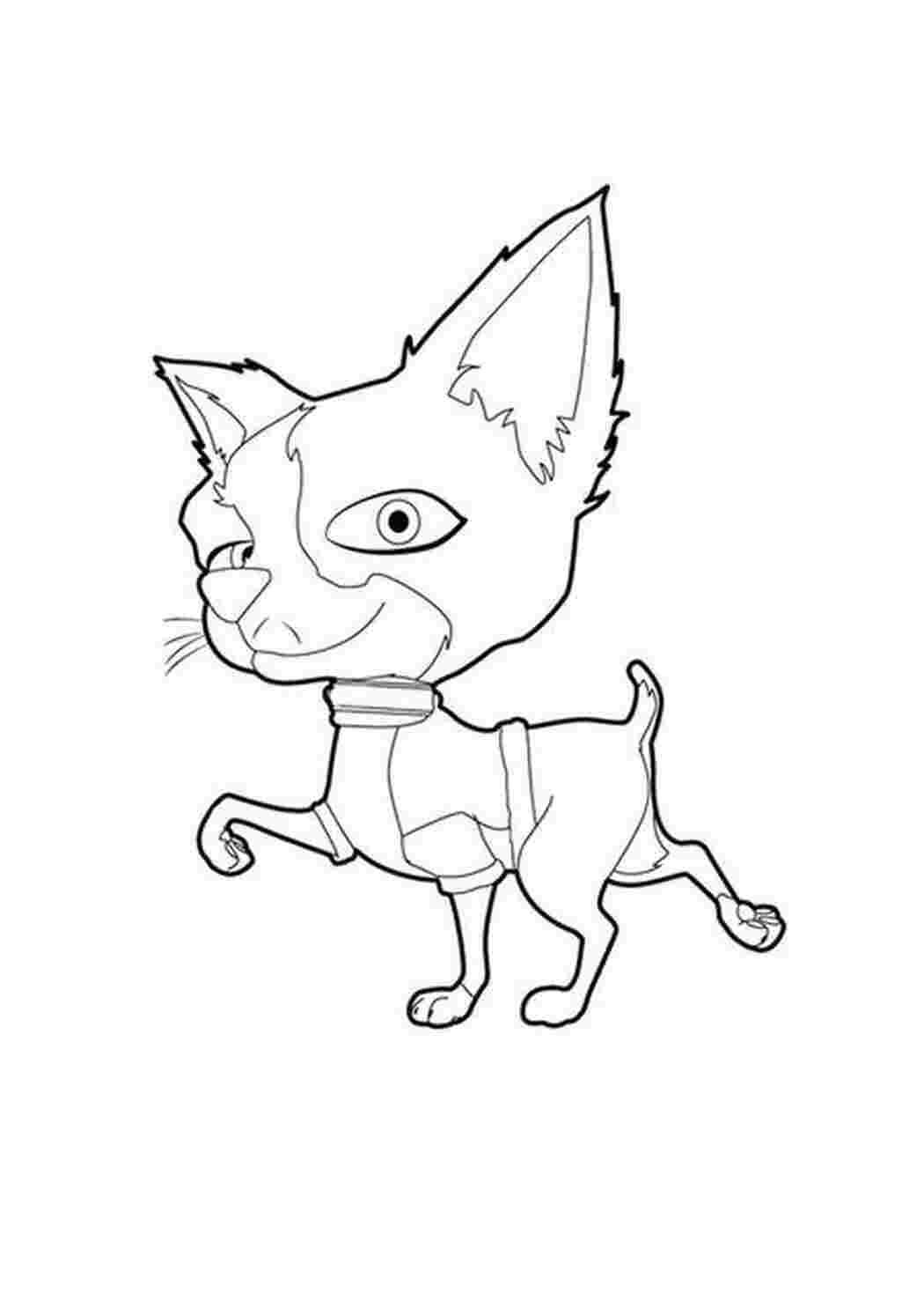 Раскраски Рисунок котенка домашние животные кошка, кот