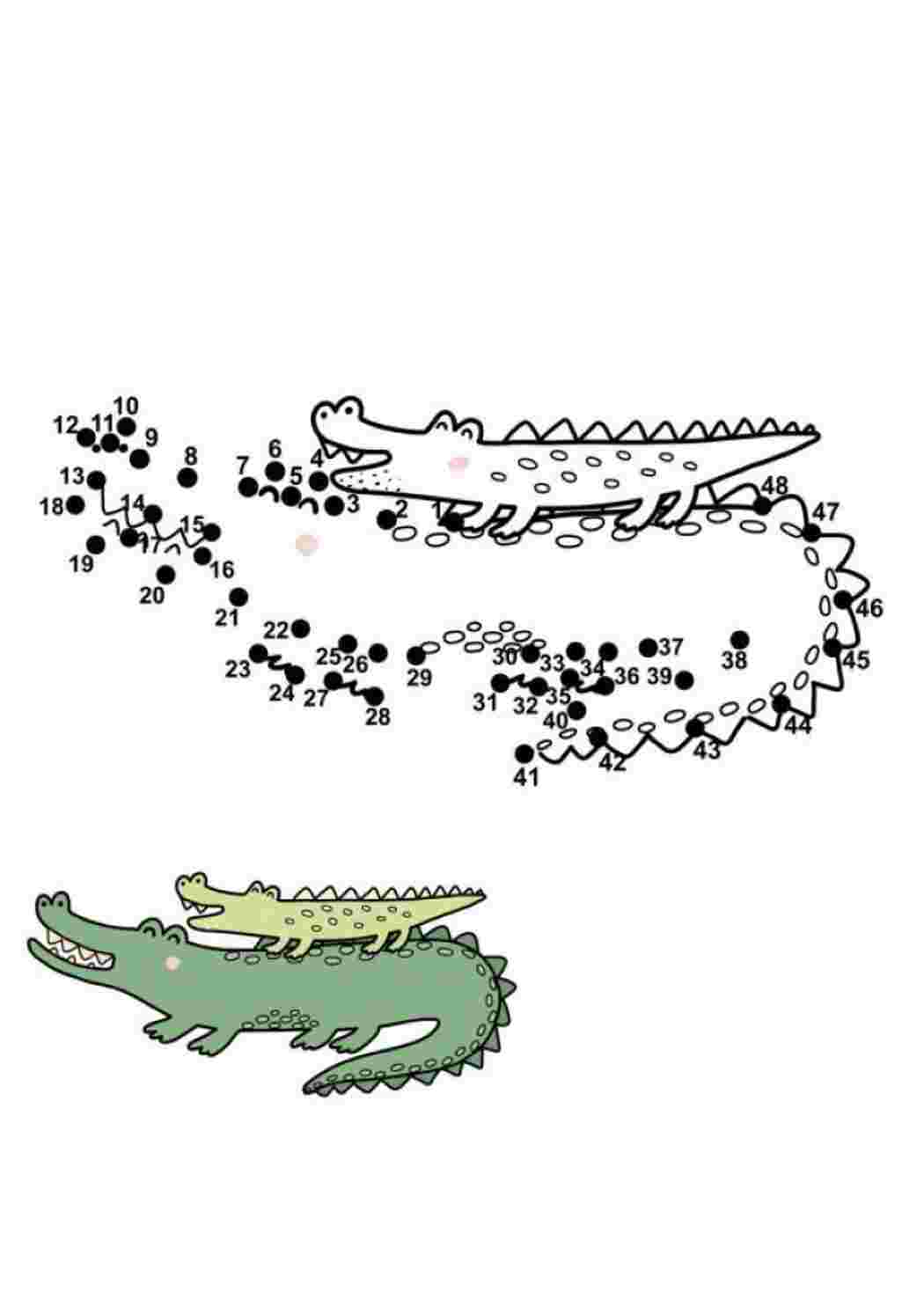 Крокодил - раскраска по точкам Раскраски скачать и распечатать бесплатно.