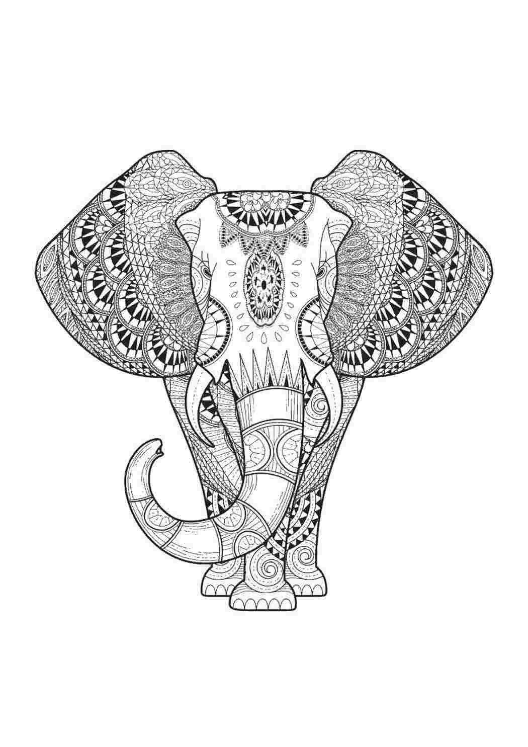 Раскраски Слон раскраски антистресс слон
