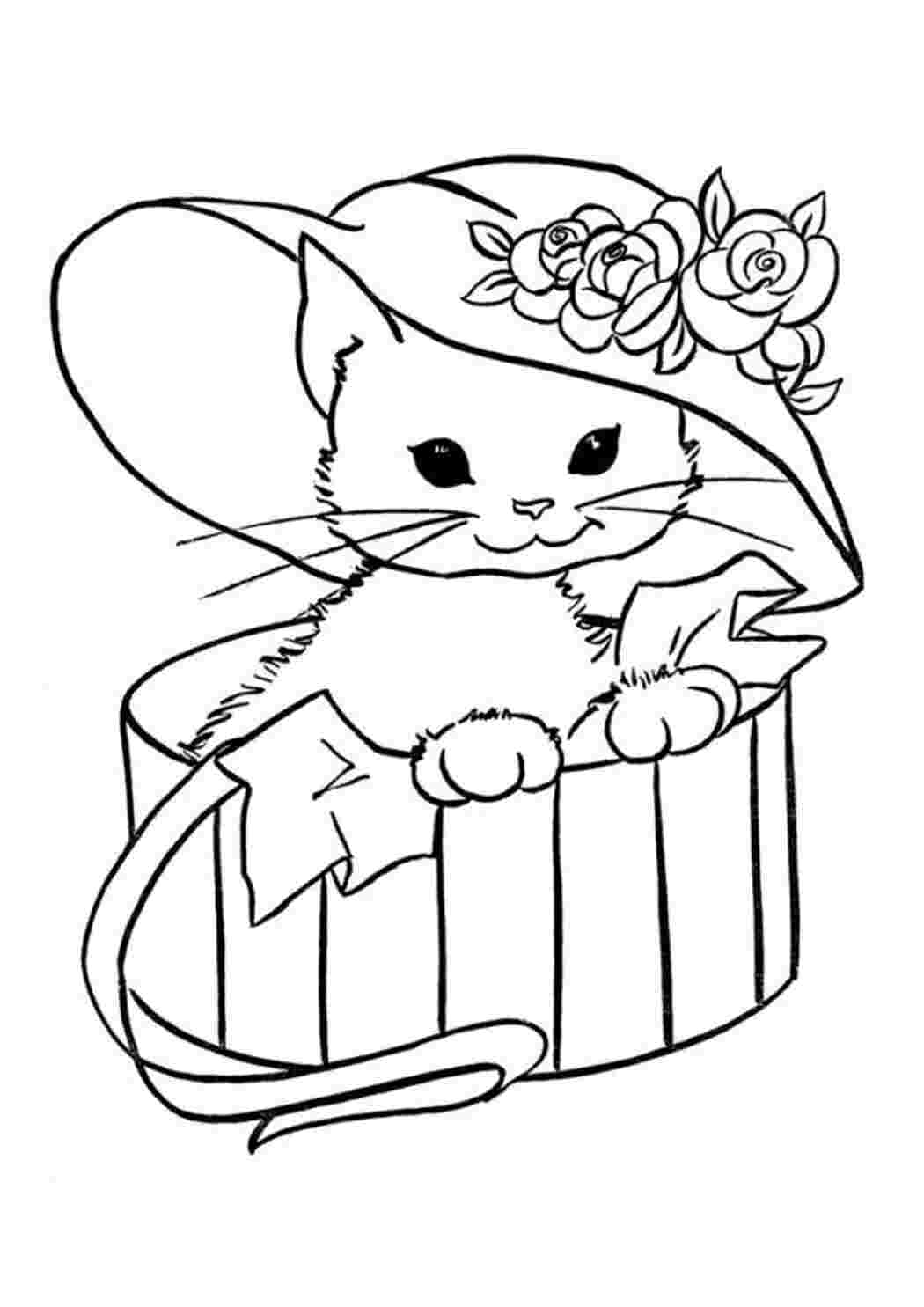 Раскраска Кот для детей распечатать бесплатно или скачать