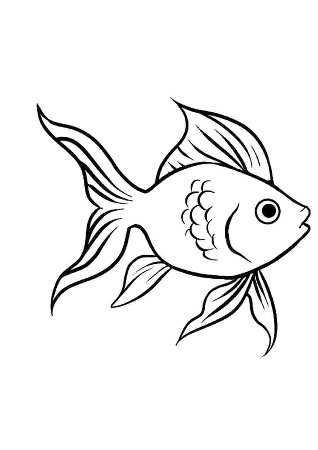 Рыба раскраска для детей - фото