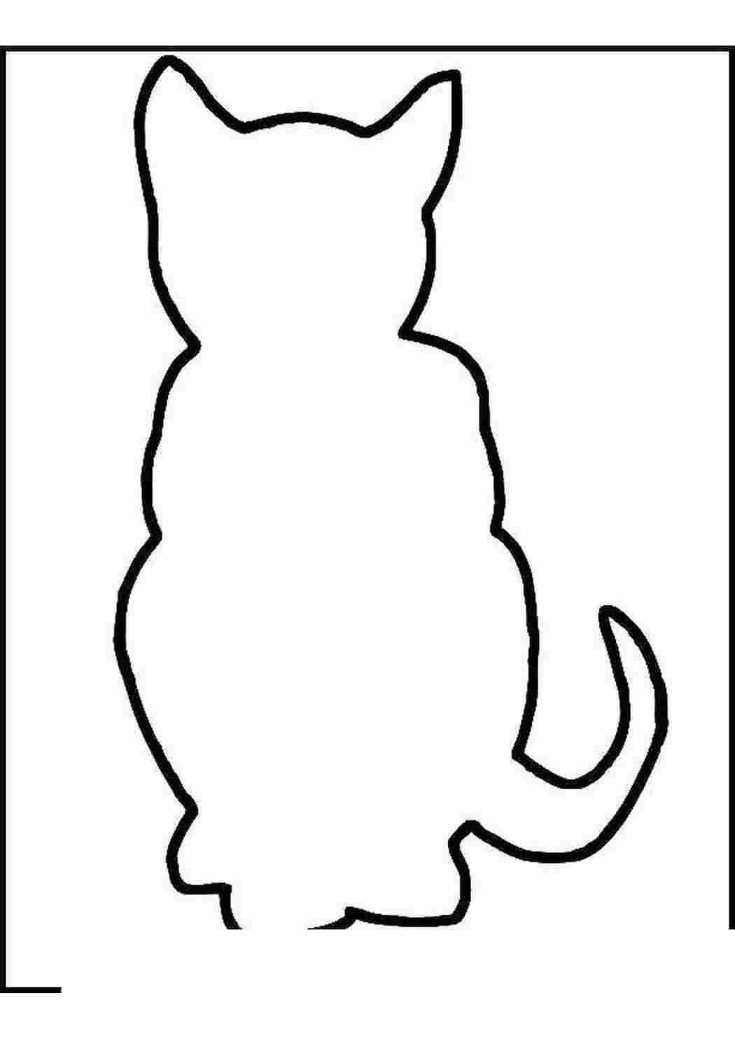 Раскраски   Контур сидячей кошки