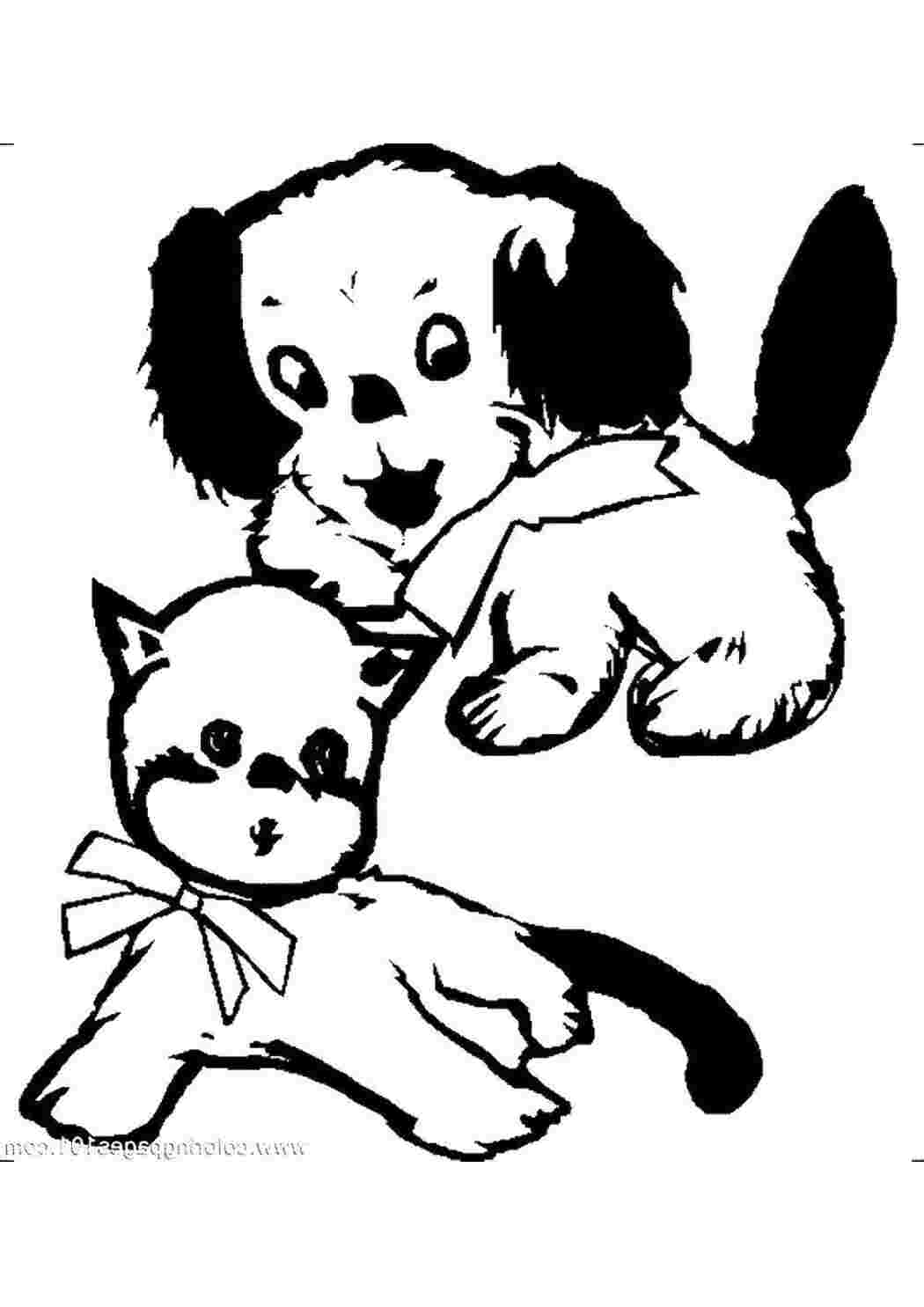 домашние животные домашние игрушки, кошка с собакой. кошка с бантиком