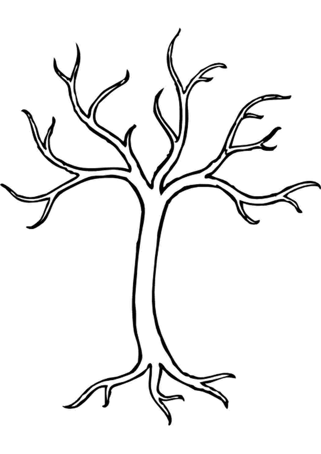 Раскраски, Контуры Шаблоны Деревьев Для Вырезания Скачать.
