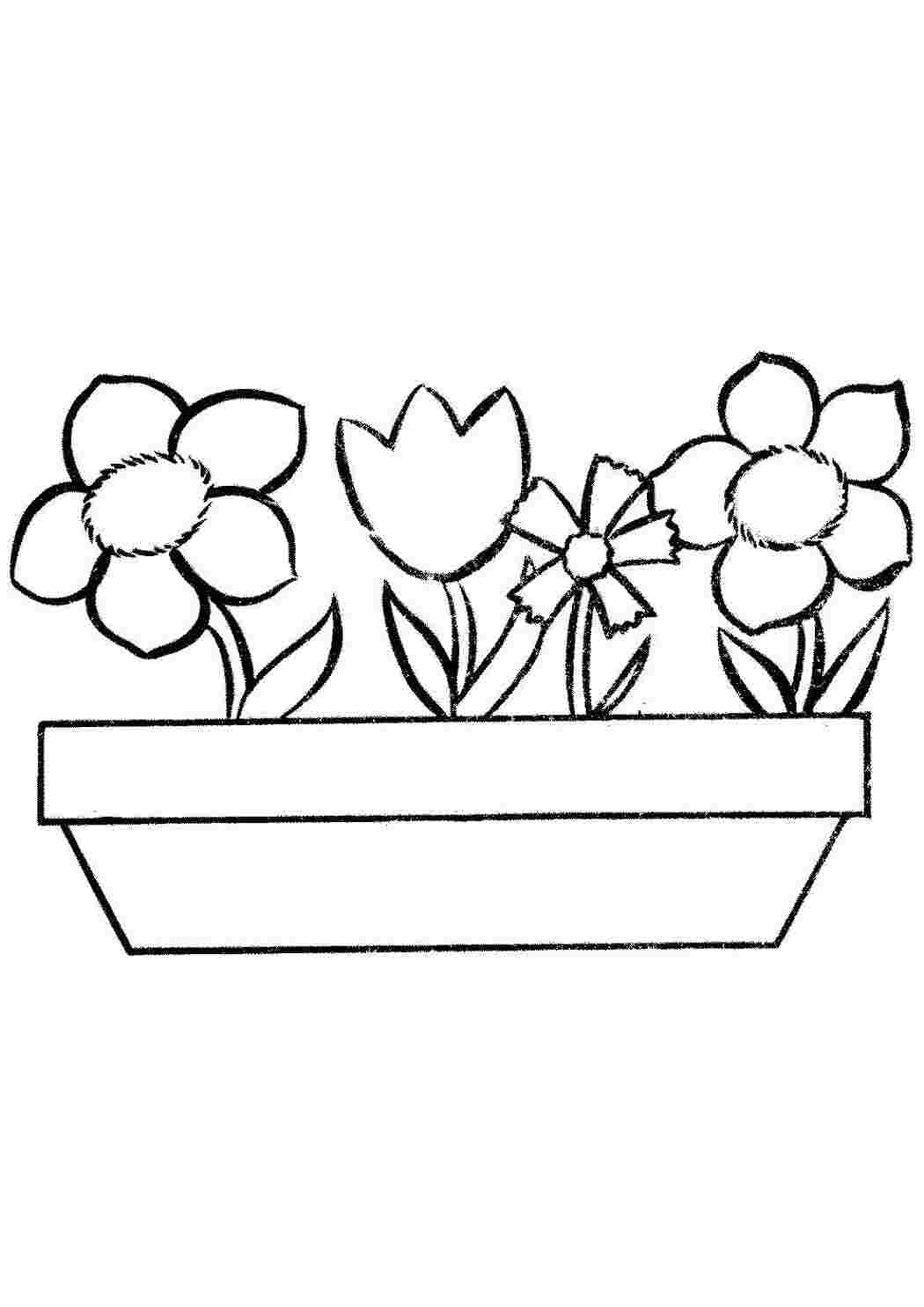 Цветы цветы, клумба, цветочки