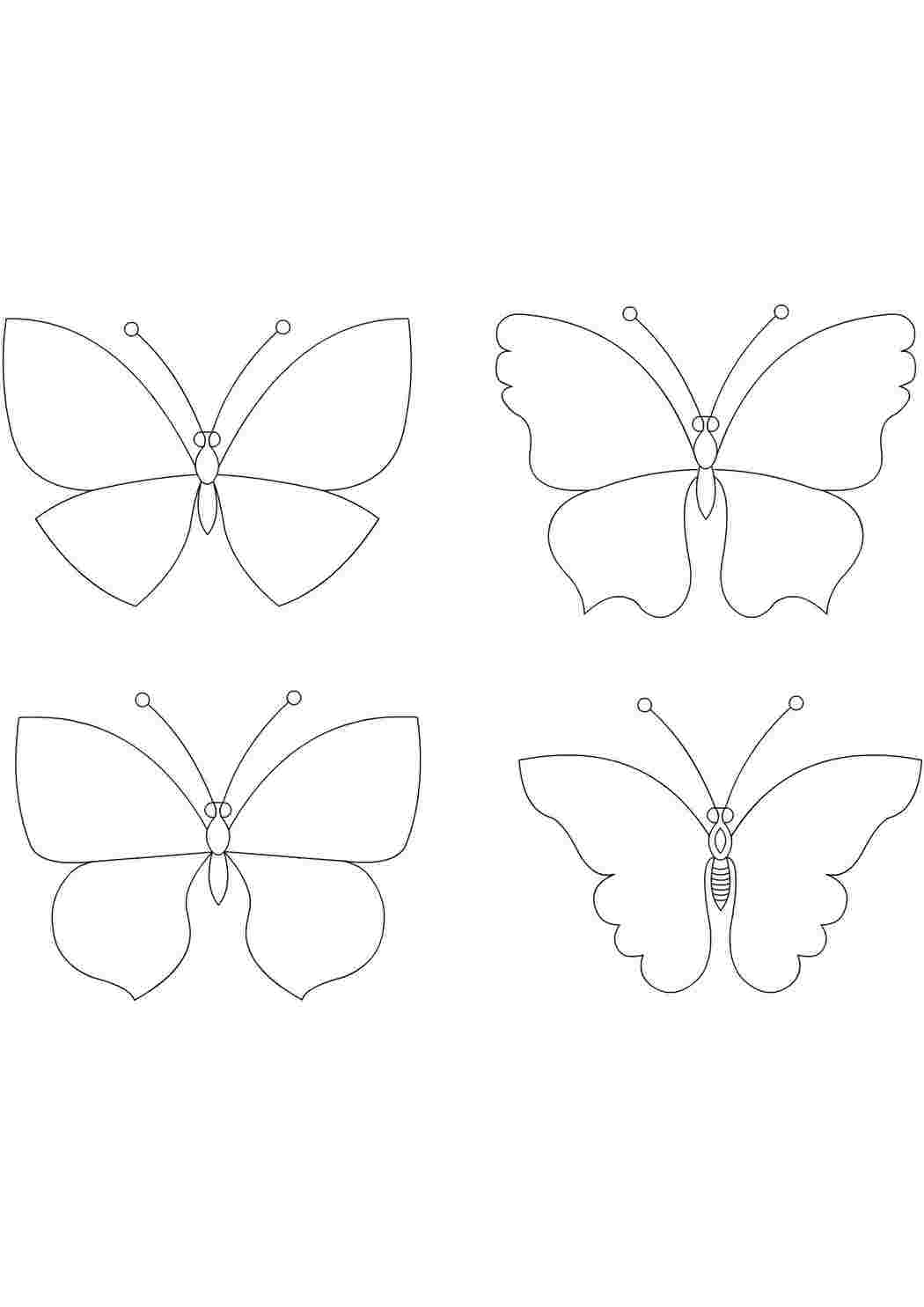 Раскраски как нарисовать бабочку Бабочки Бабочки