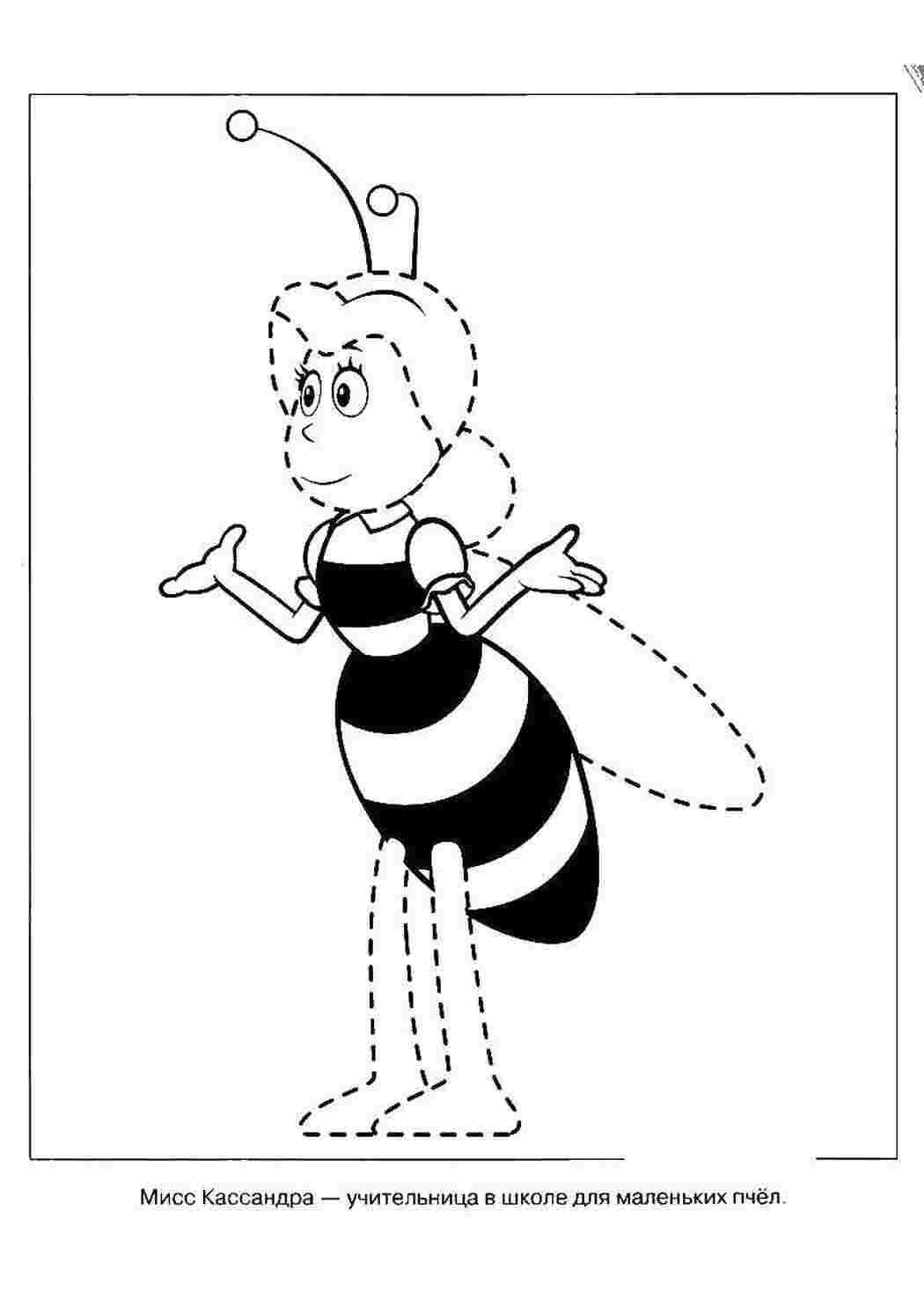 Раскраски Учительница пчела мисс кассандра пчелка Мая пчелка Мая