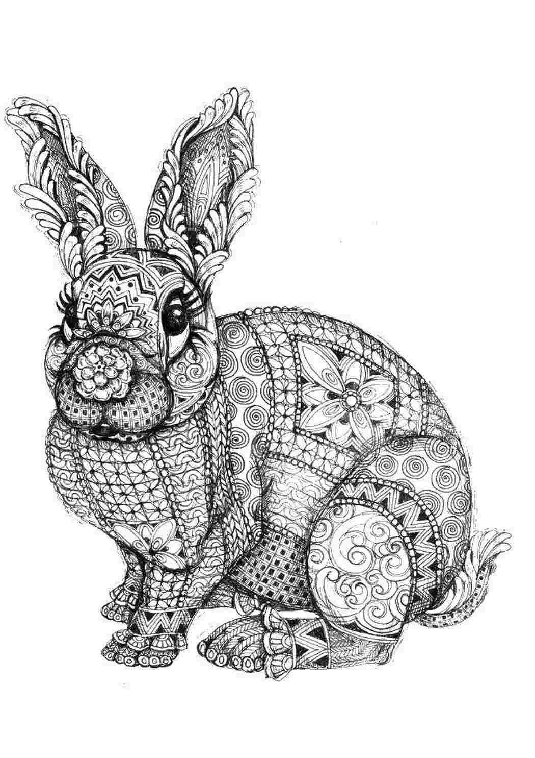 Кролик баффи раскраска - 74 фото