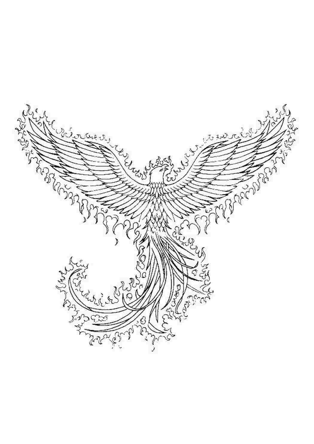 Раскраски Жар птица птицы Жарптица, Иванушка