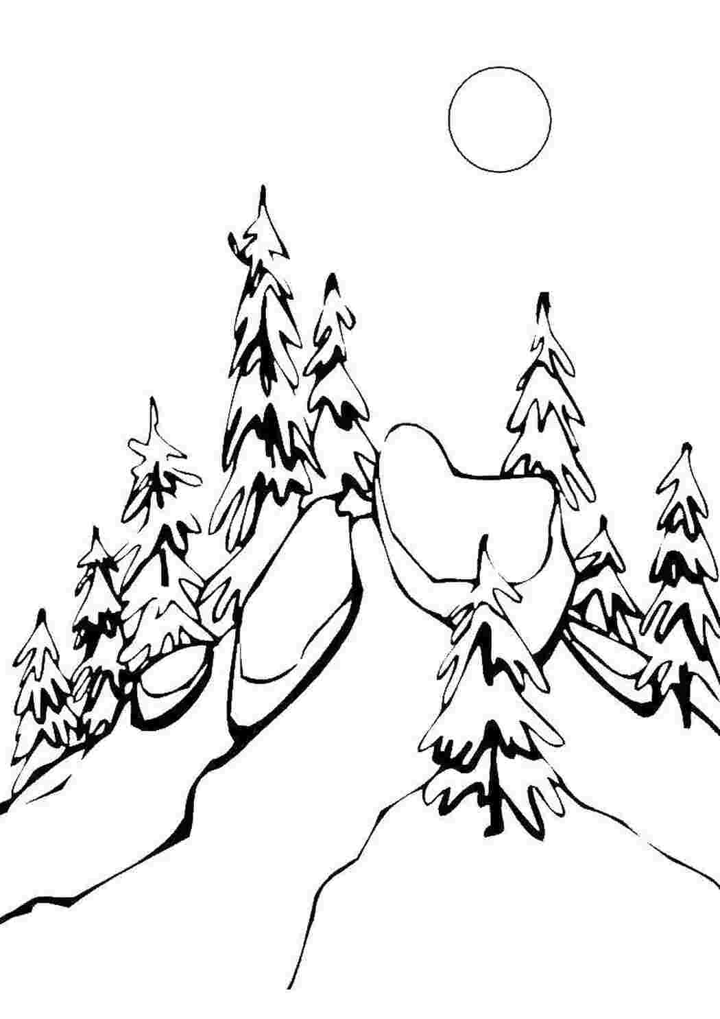 Лес зимой рисунок (49 фото) » Рисунки для срисовки и не только