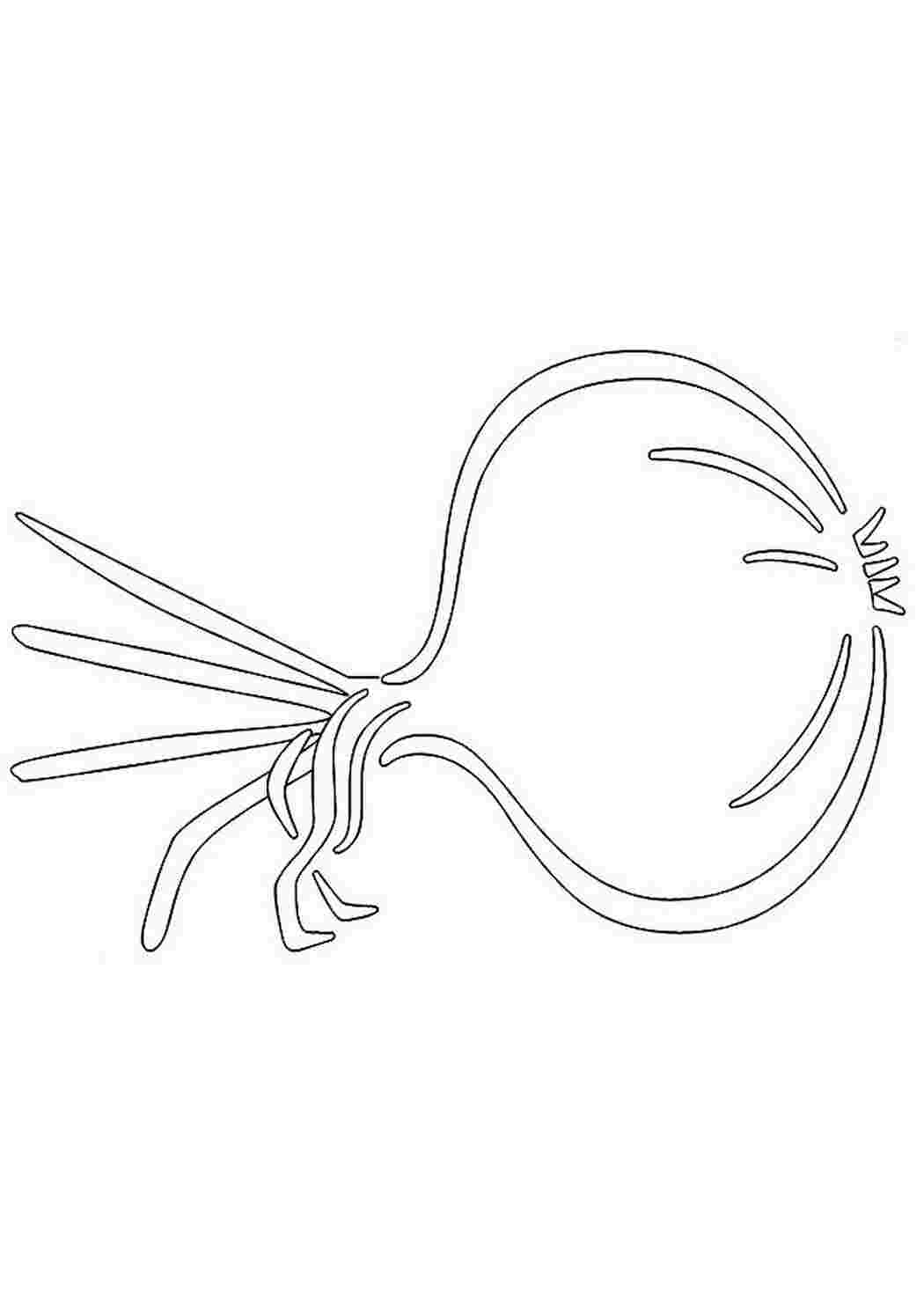 Раскраски овощи. лук  Раскраски скачать онлайн