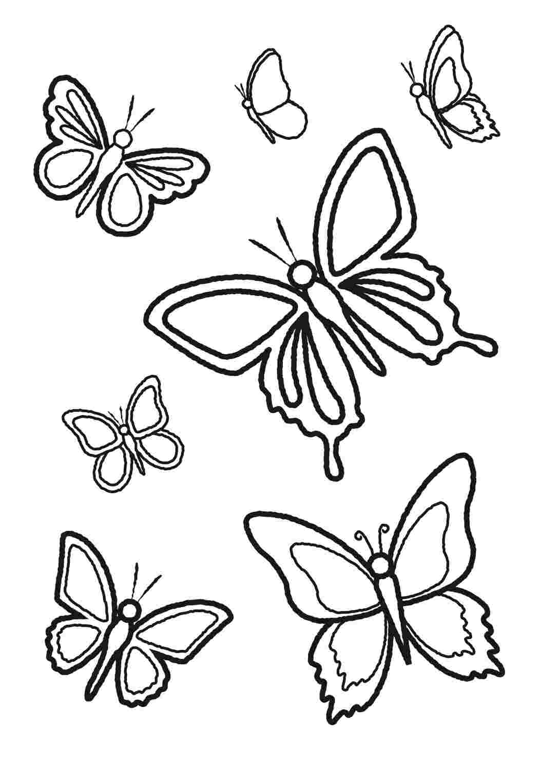Картинки бабочки и цветы для раскрашивания (67 фото)