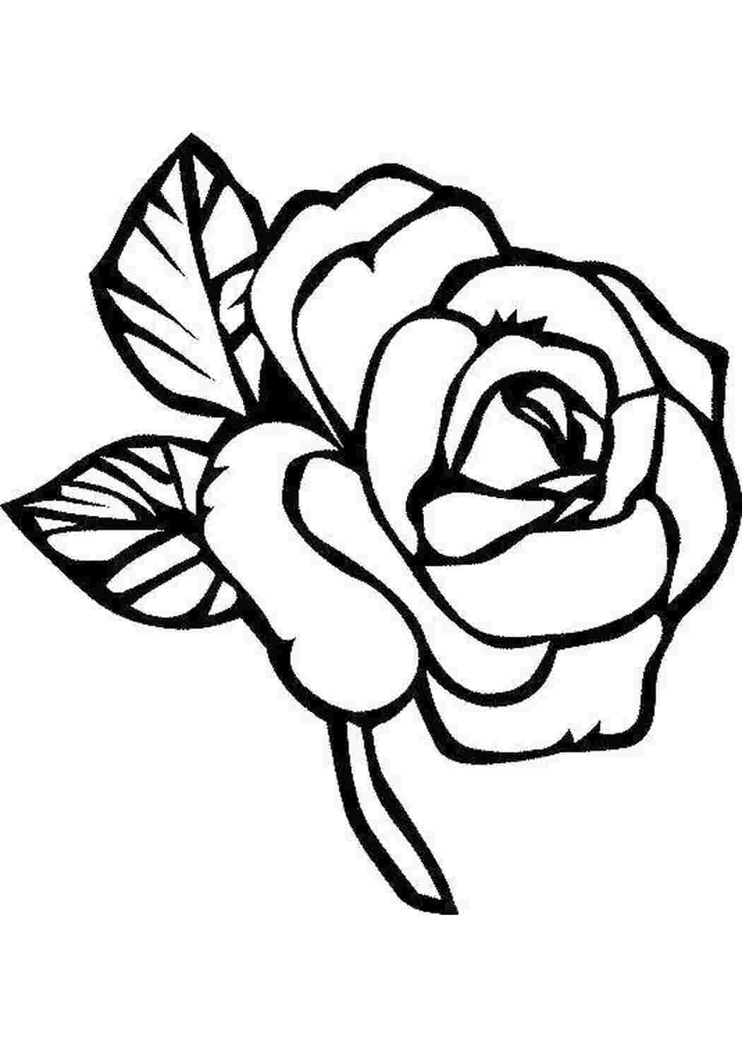 Раскраски Изящная розочка Цветы Цветы, розы
