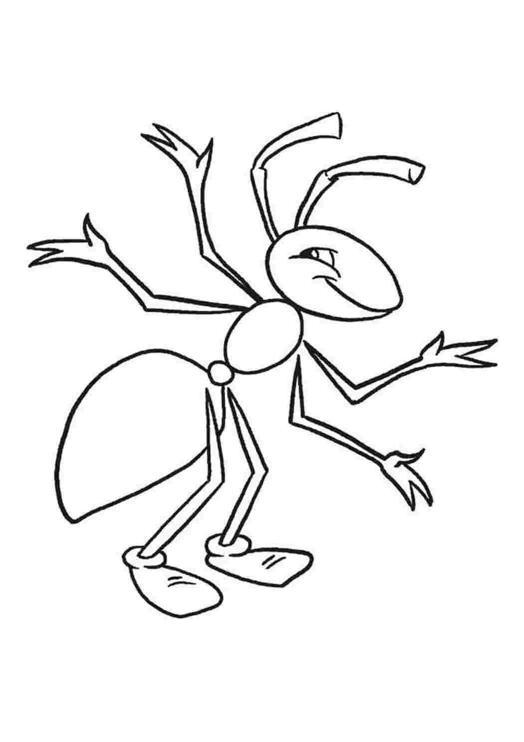 Раскраски Счастливый муравей Счастливый муравей  Раскраски скачать онлайн