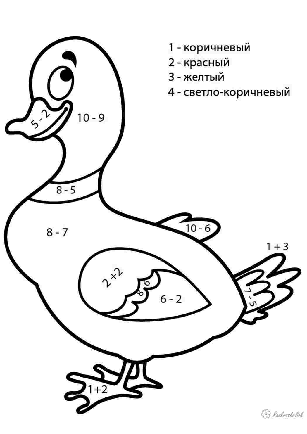 Раскраска гусь птицы. Гусь математическая раскраска, посчитай и раскрась, домашние  птицы