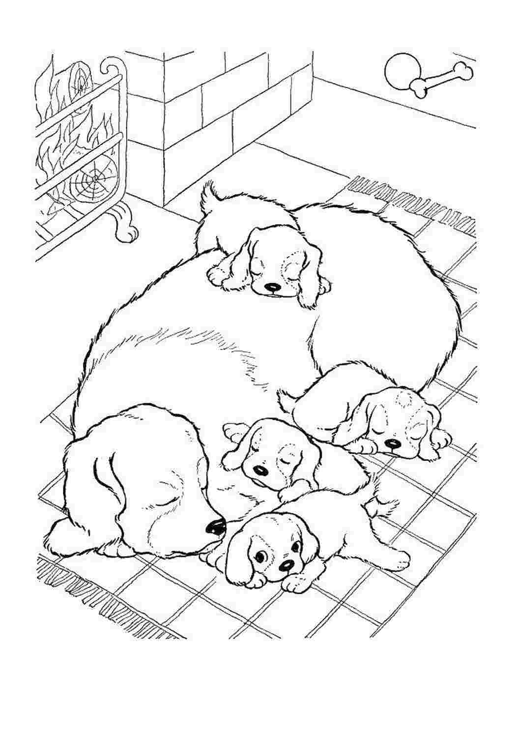 Раскраска по номерам Милые щенята (BRM40172)