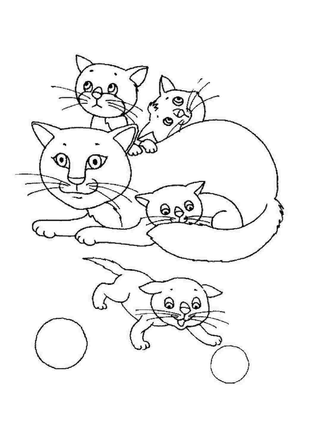 домашние животные кошка, котята, клубок