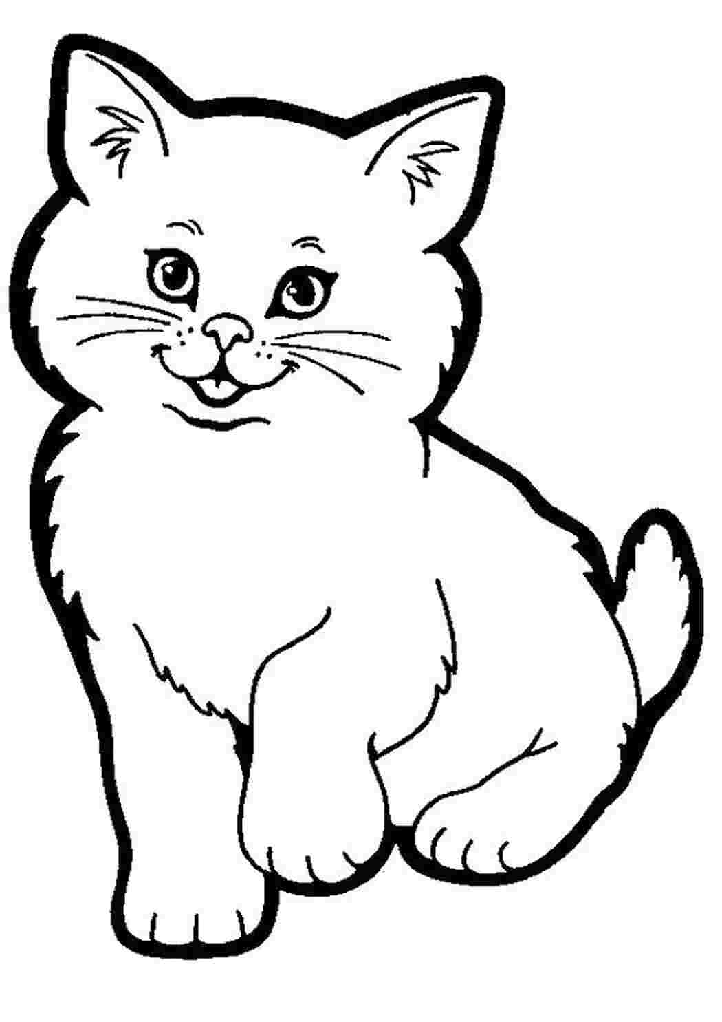 Раскраски Раскраски котов и котят Домашние животные Котенок
