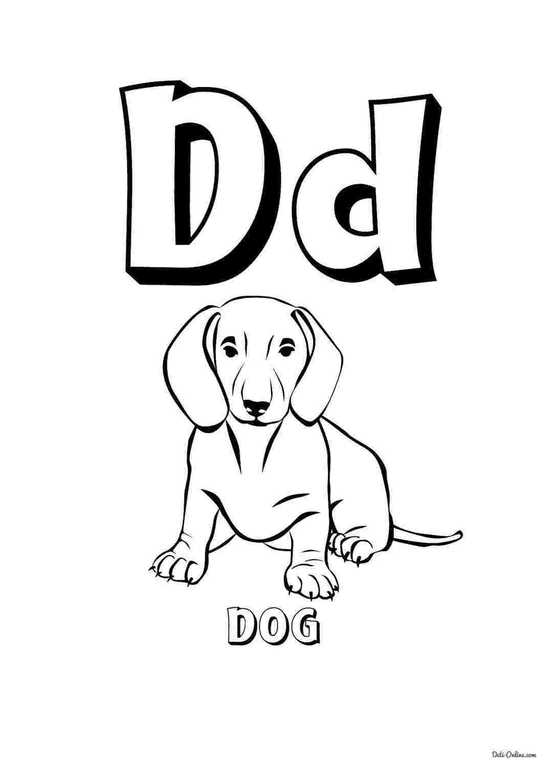 Раскраски Letter d Английский letter D, dog