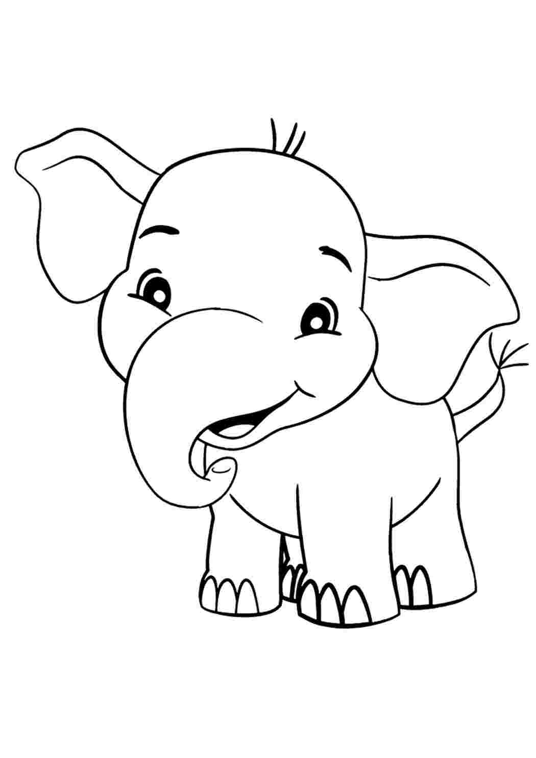 Раскраска Настоящий слон