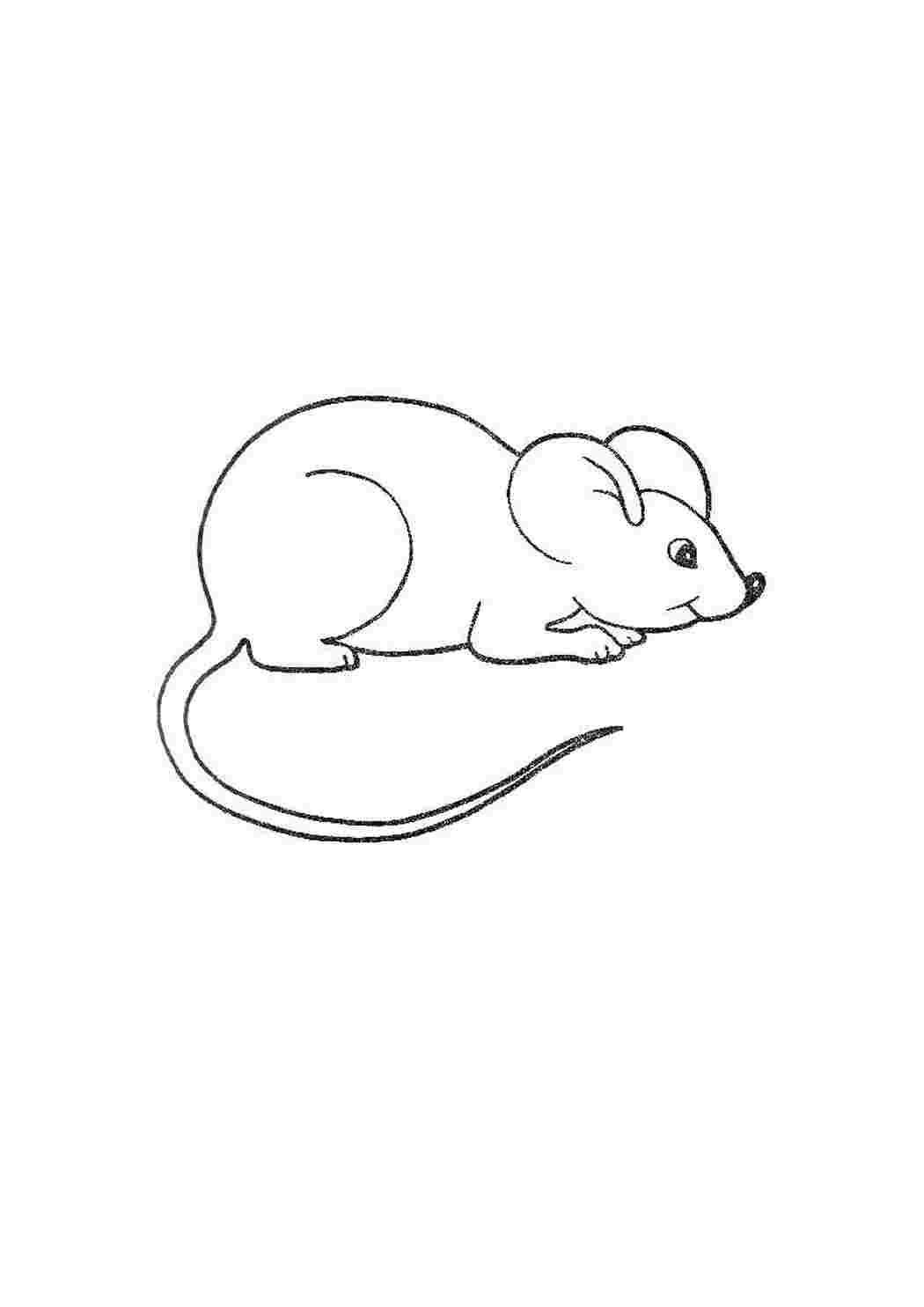 Раскраски мышка, Раскраска мышка .
