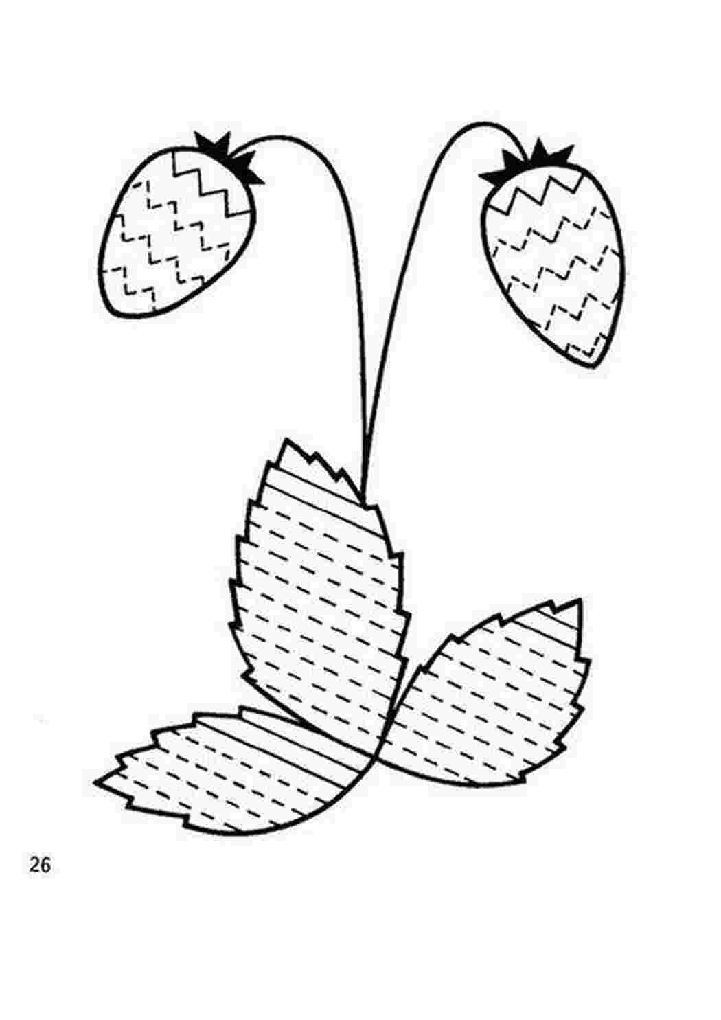 Раскраски земляника Раскраски Штриховки для детей 