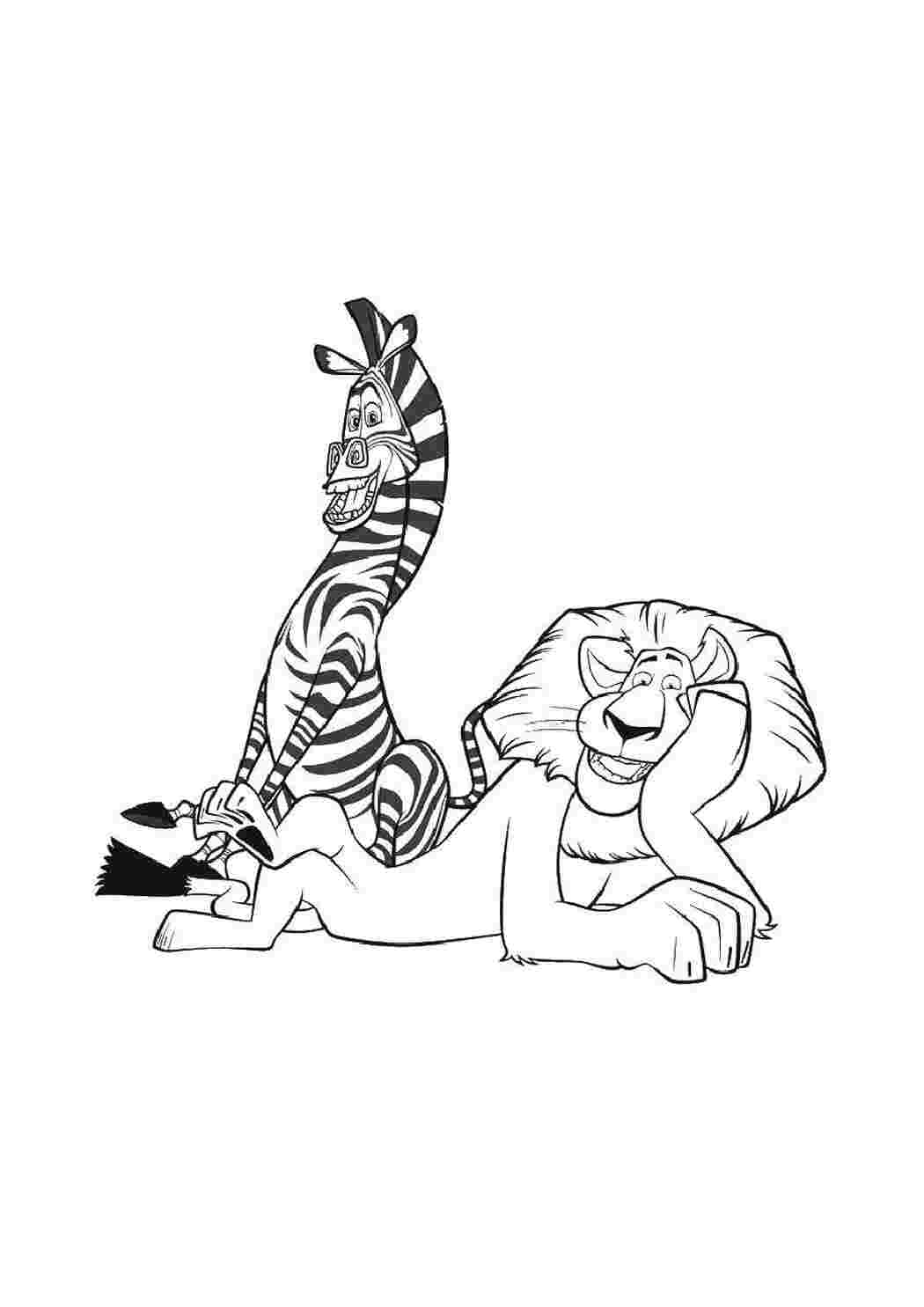 Раскраски Марти и алекс мадагаскар Персонаж из мультфильма