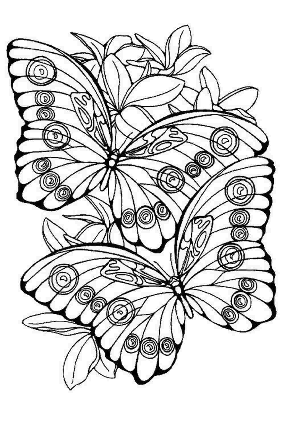 Раскраски Две бабочки летают над поляной с цветами Раскраски раскраски для детей по сказкам 